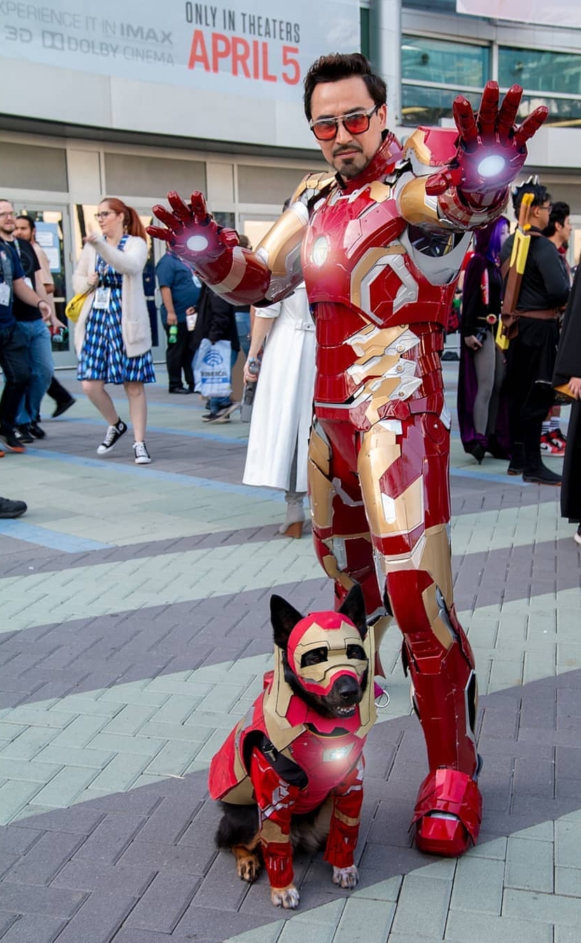 Saw this amazing cosplay! Look at the dog! r/marvelstudios