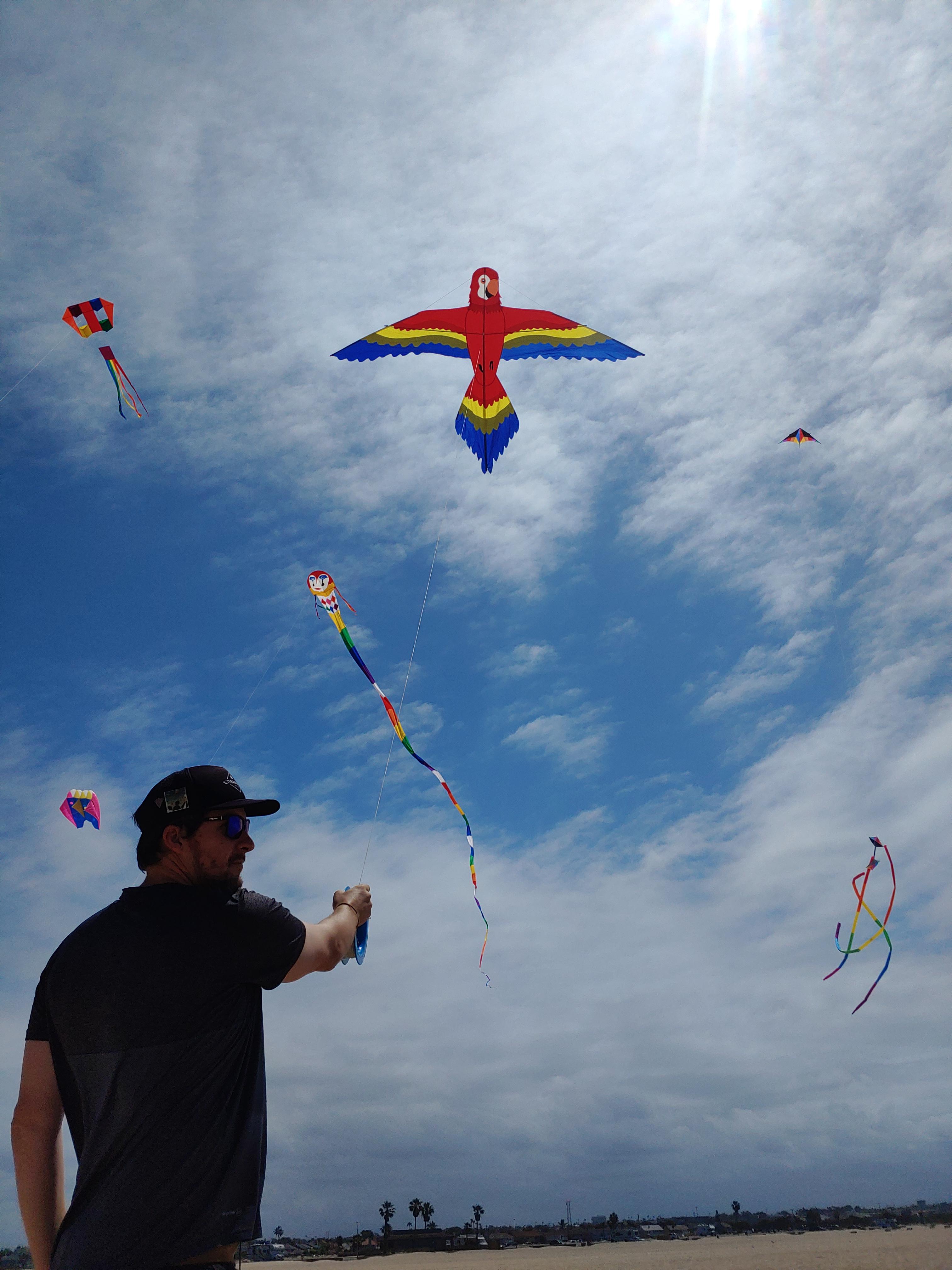 Flying some classics in Huntington Beach, CA r/kites