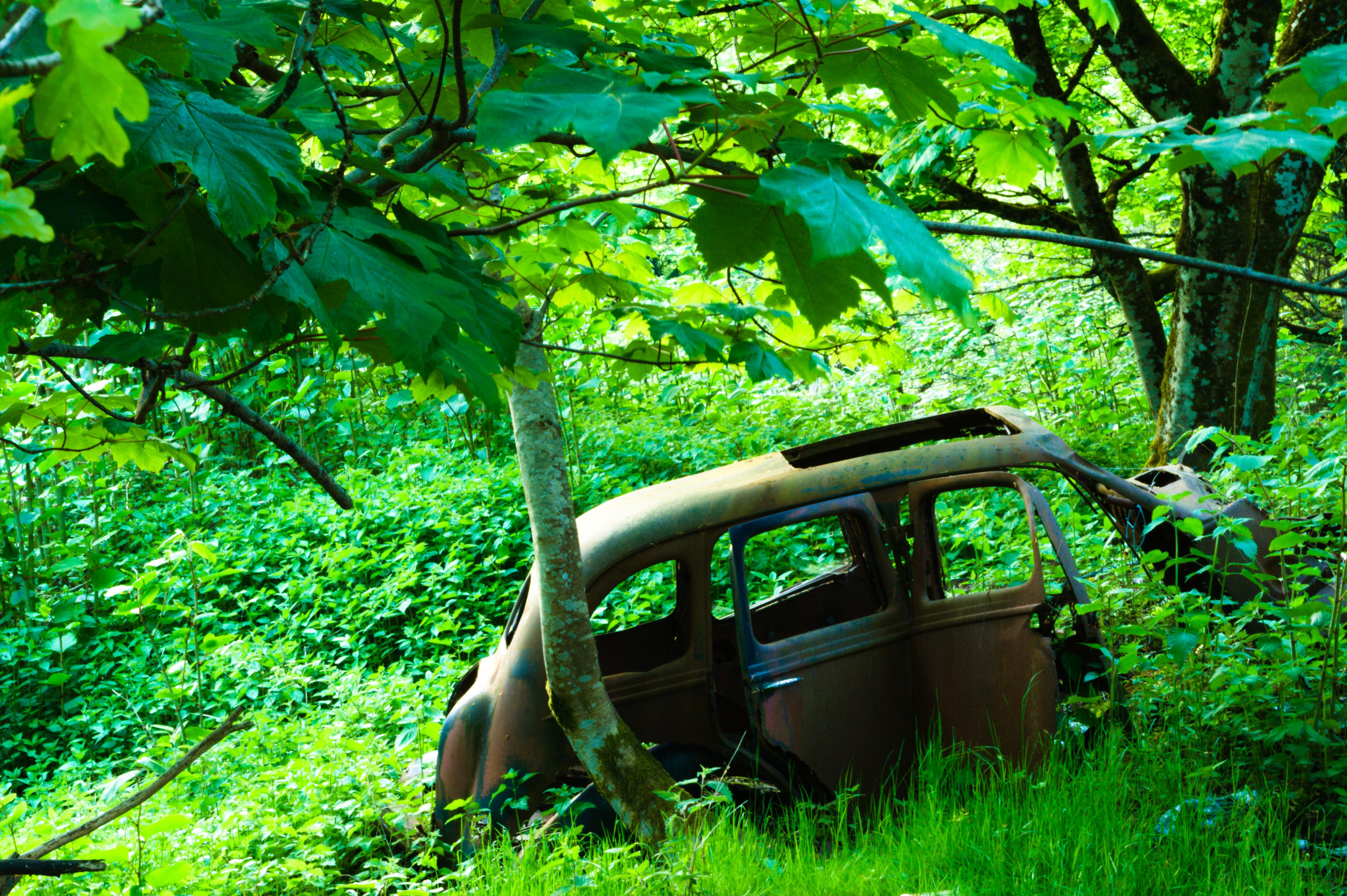 Abandoned car in a Scottish forest.[3898x2594] toffersonn r