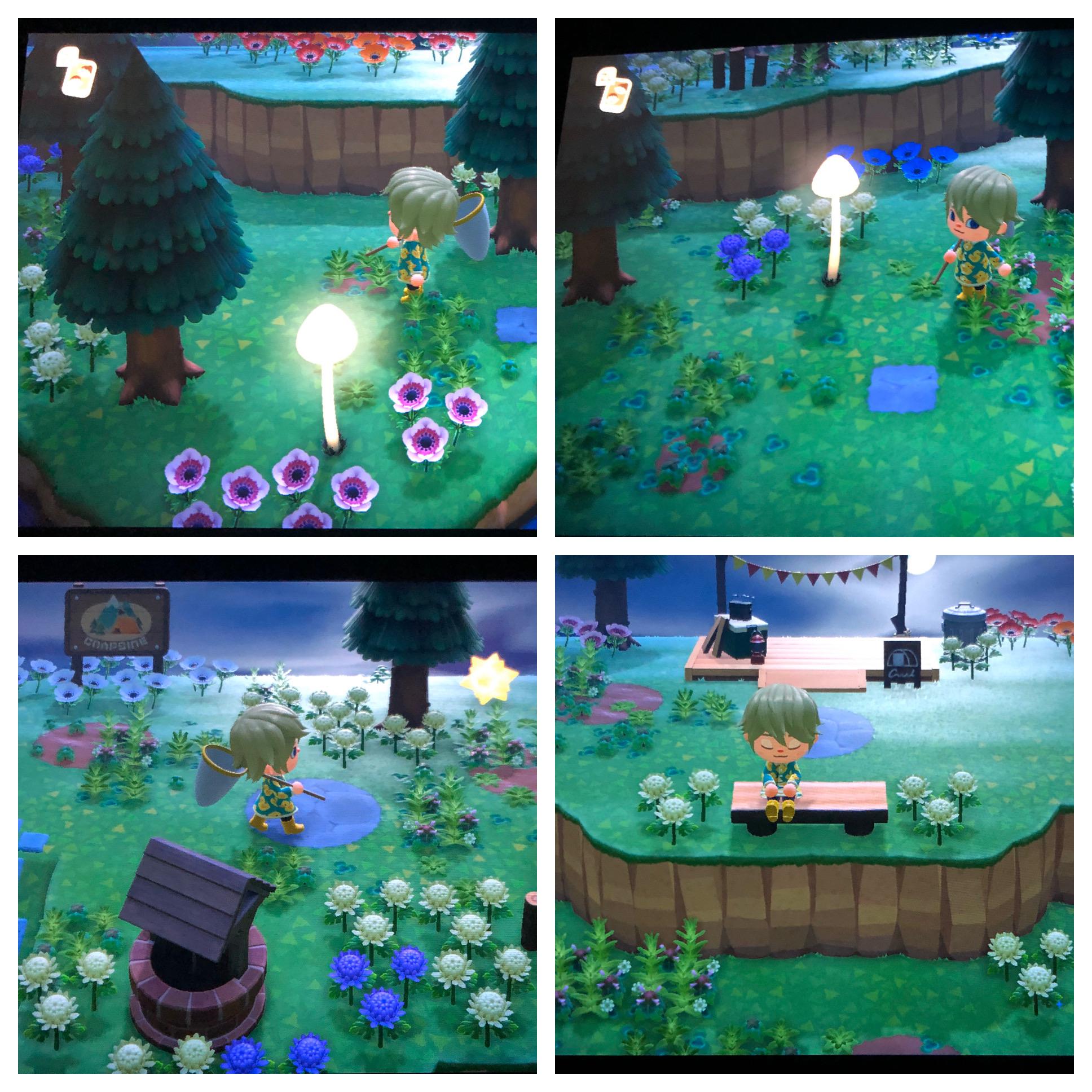 Campsite fairy garden path 💜 r/AnimalCrossing