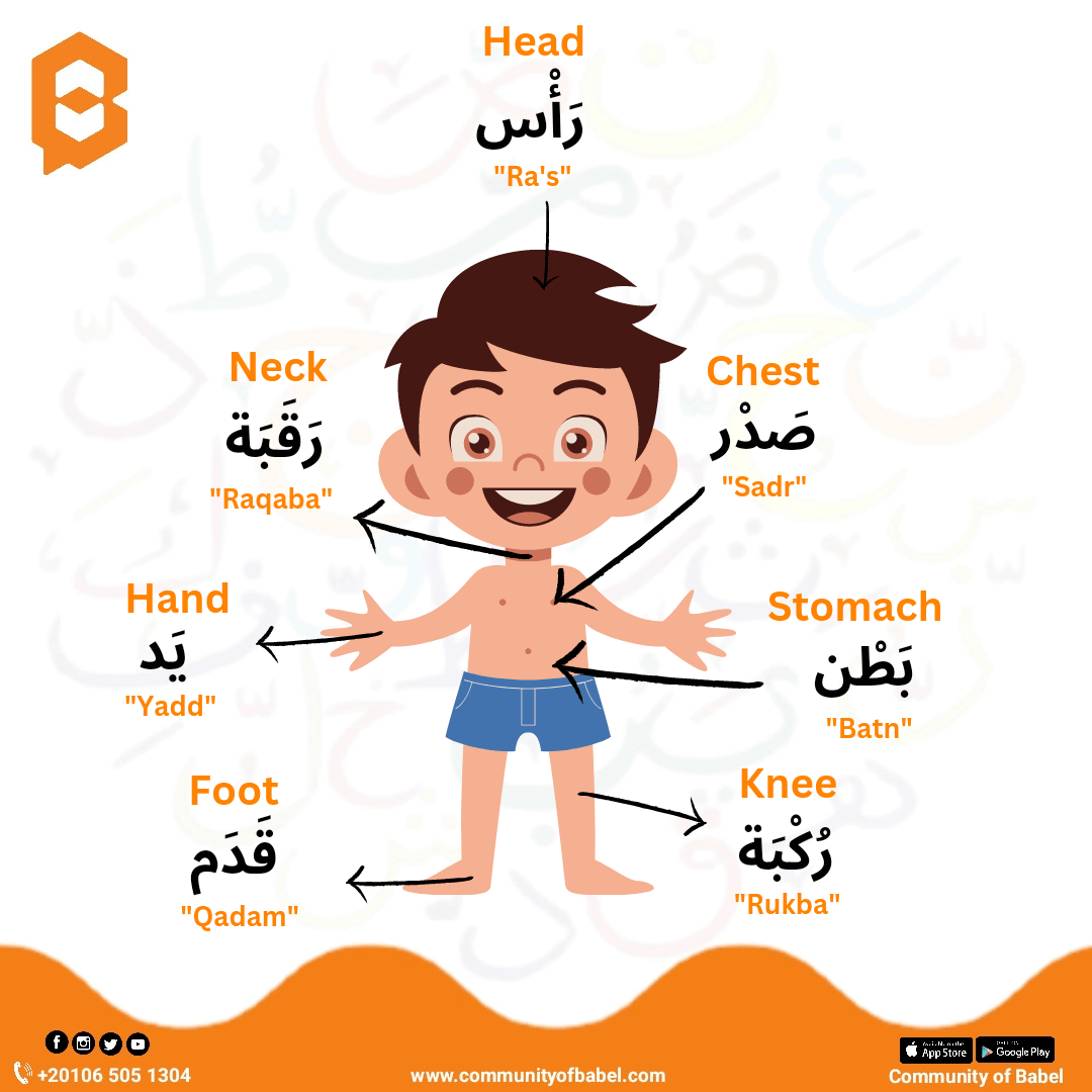 Body parts in arabic! CommunityOfBabel
