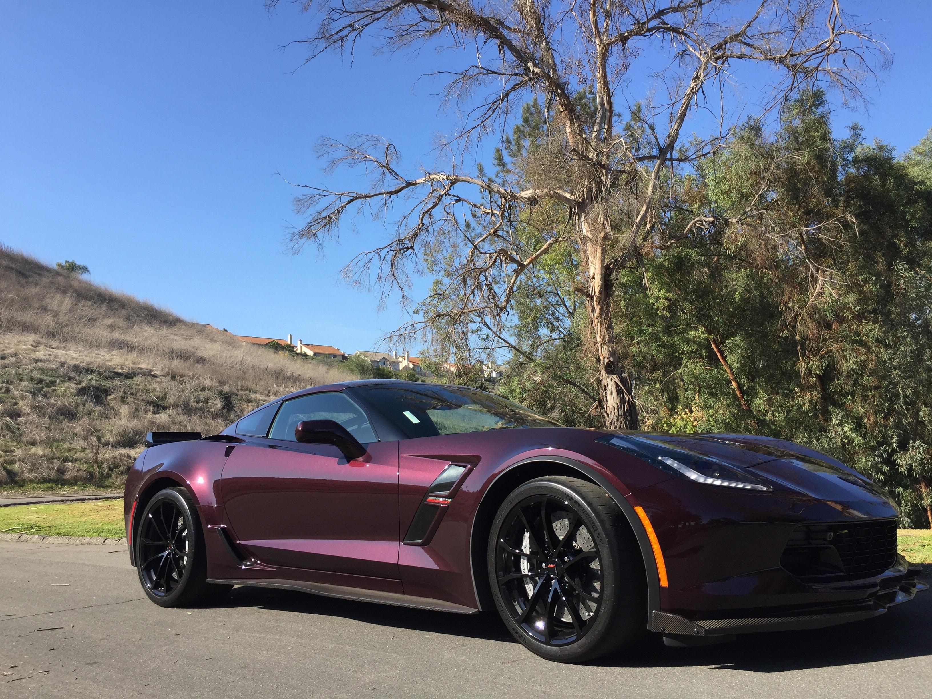 Black (Rose) Friday r/Corvette