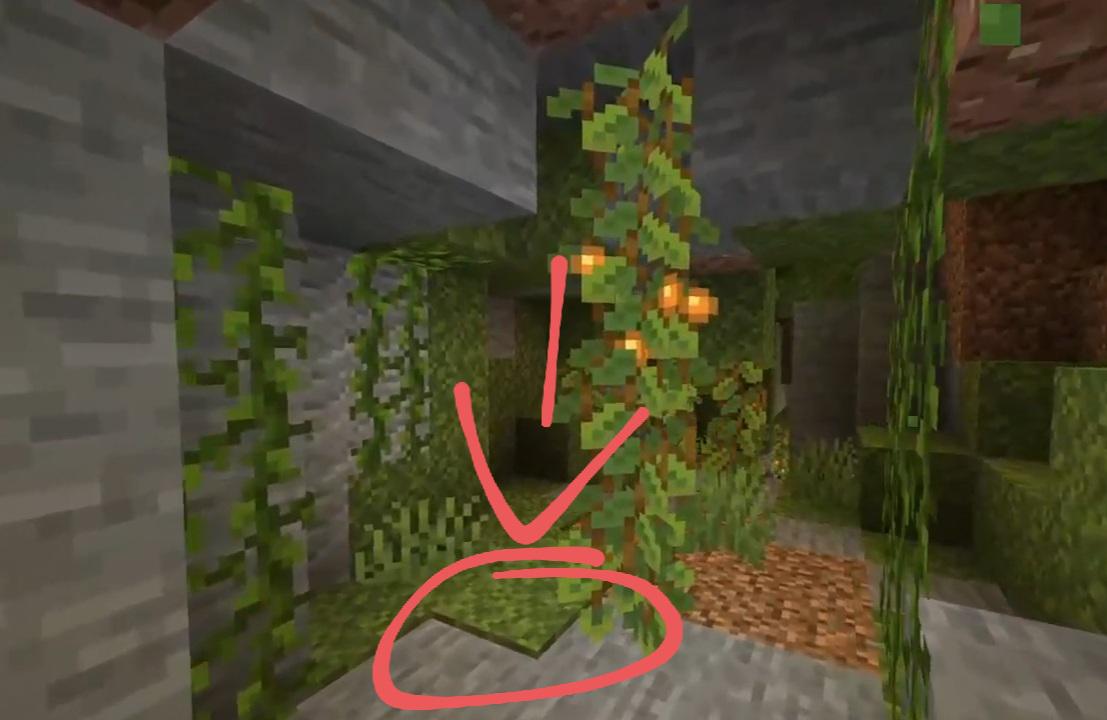 In the announcement video of the cave update during minecraft live you