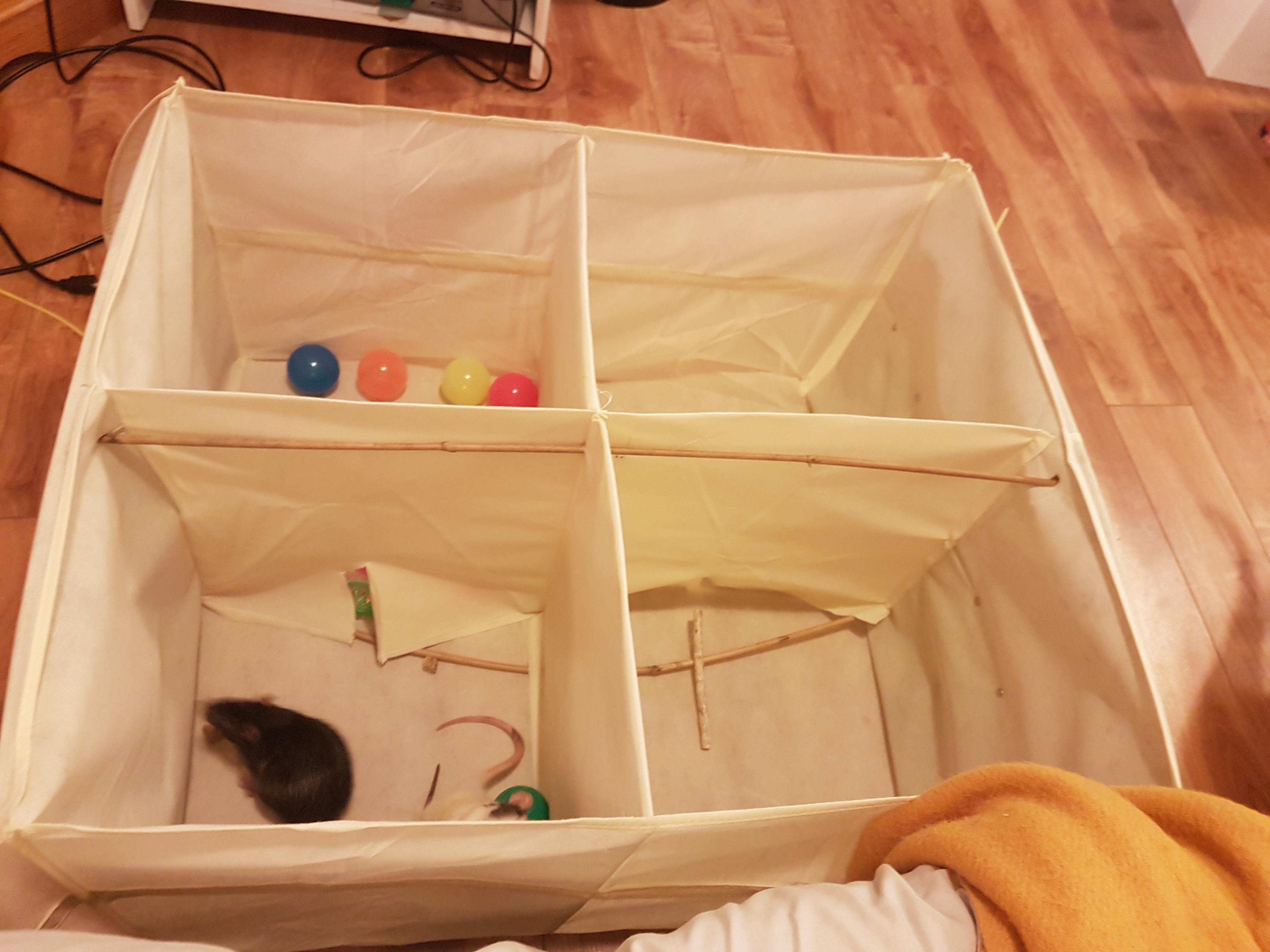 a ( rather small) diy playpen out of a closet organiser ! its not ideal