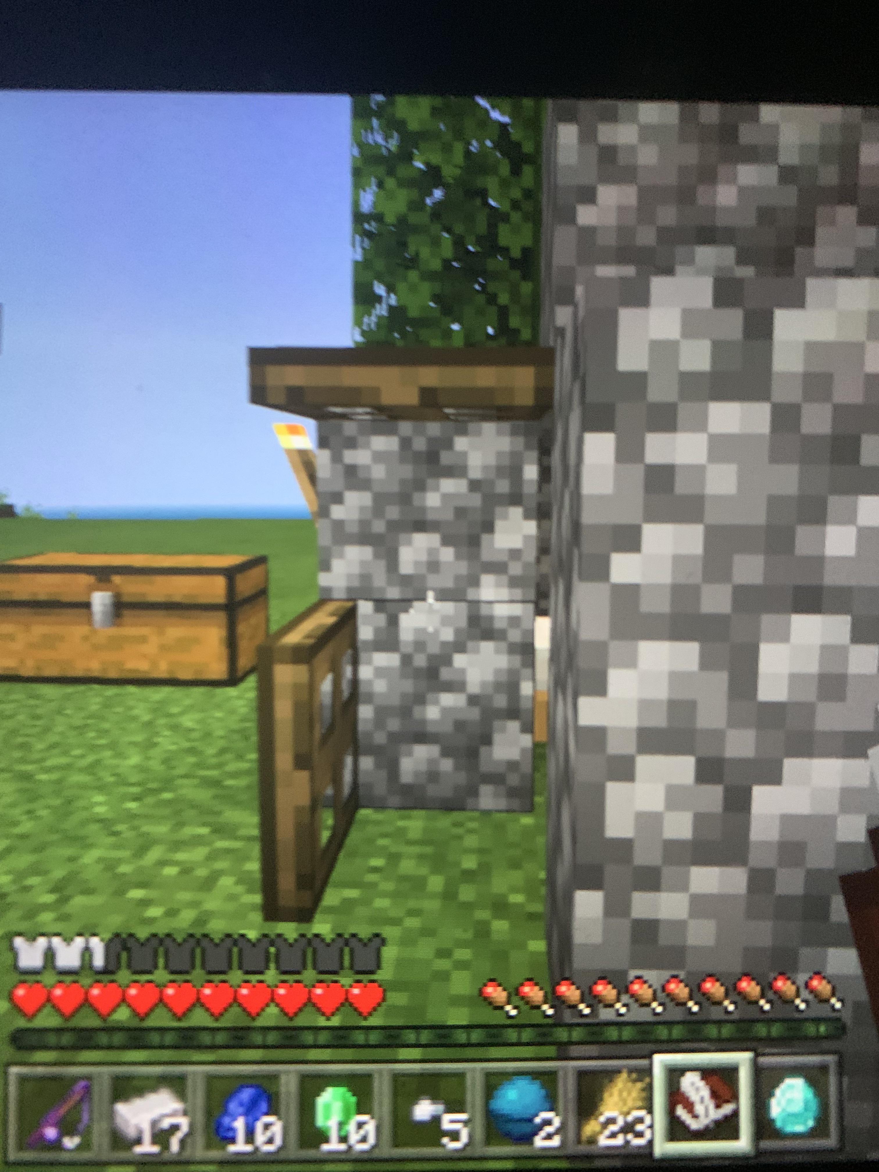 Friend wanted to save chest space so he made this “door”. r/Minecraft