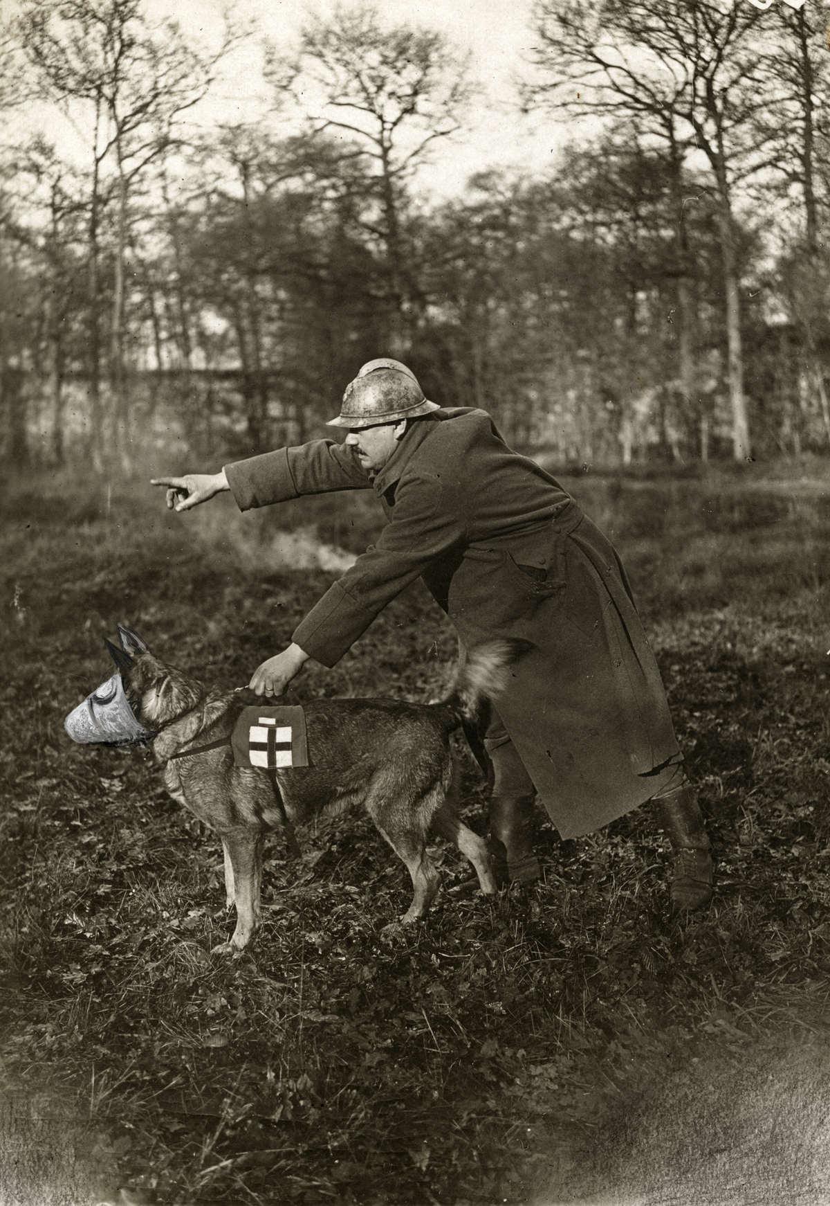A dog with a canine gas mask being pictured with his handler, France