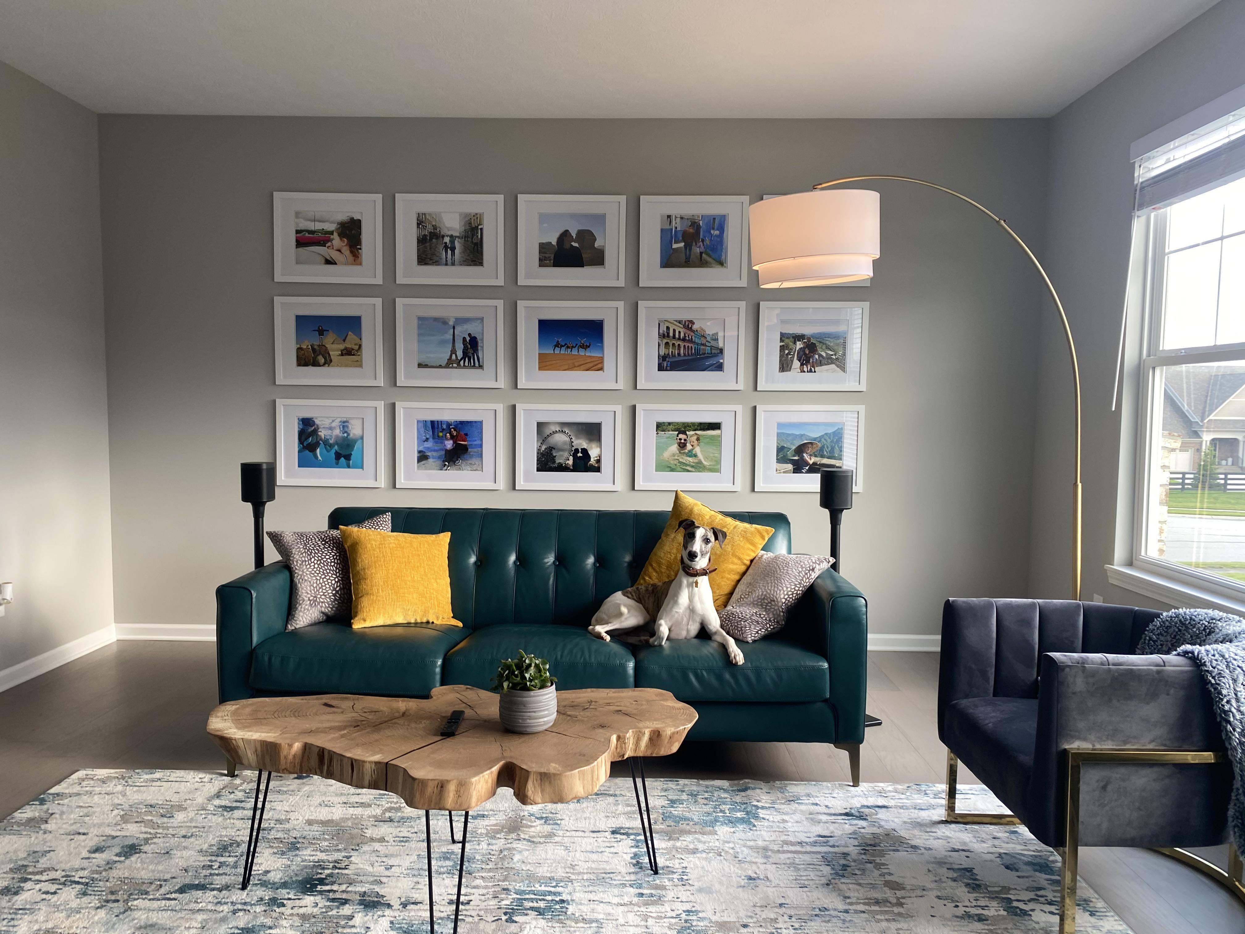 New chair and couch from Costco look great! r/Costco