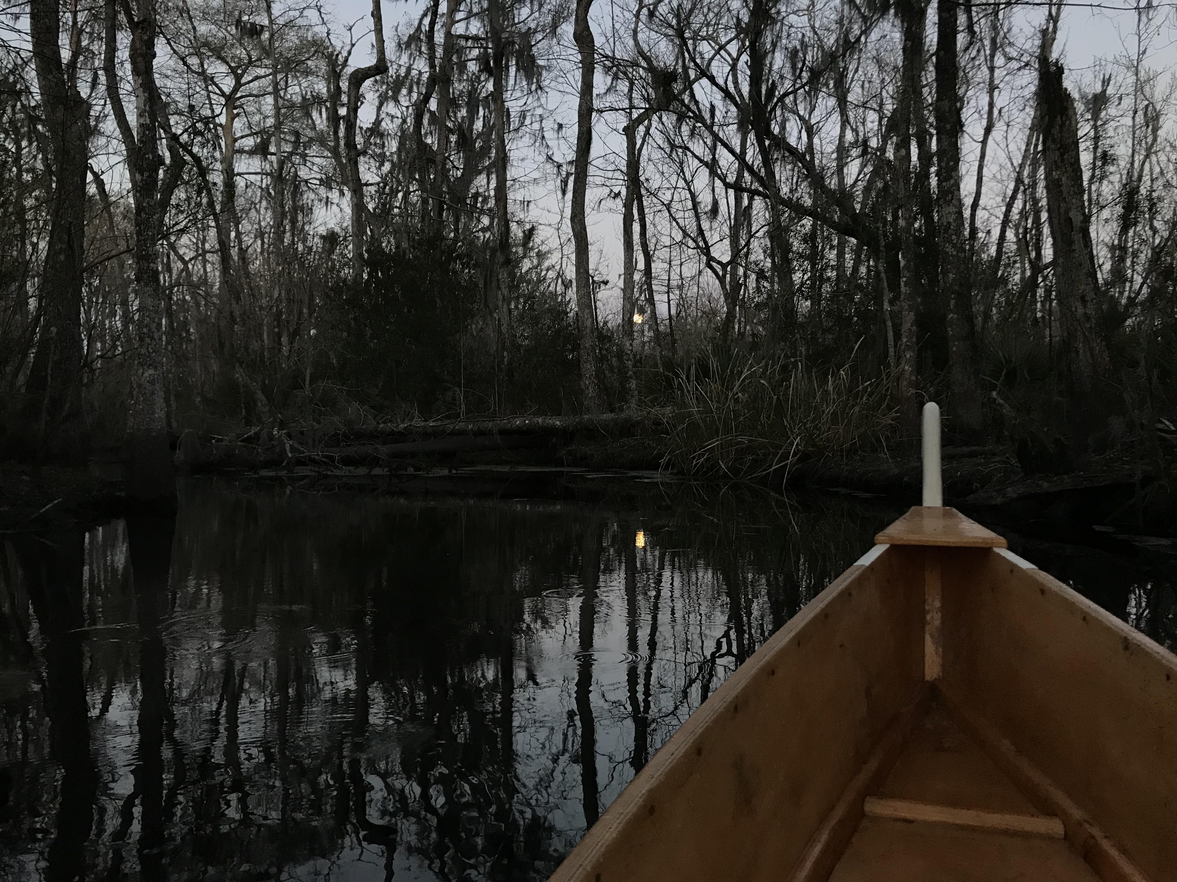 Moonrise over Bayou Coquille Jean Lafitte, Louisiana r/Kayaking