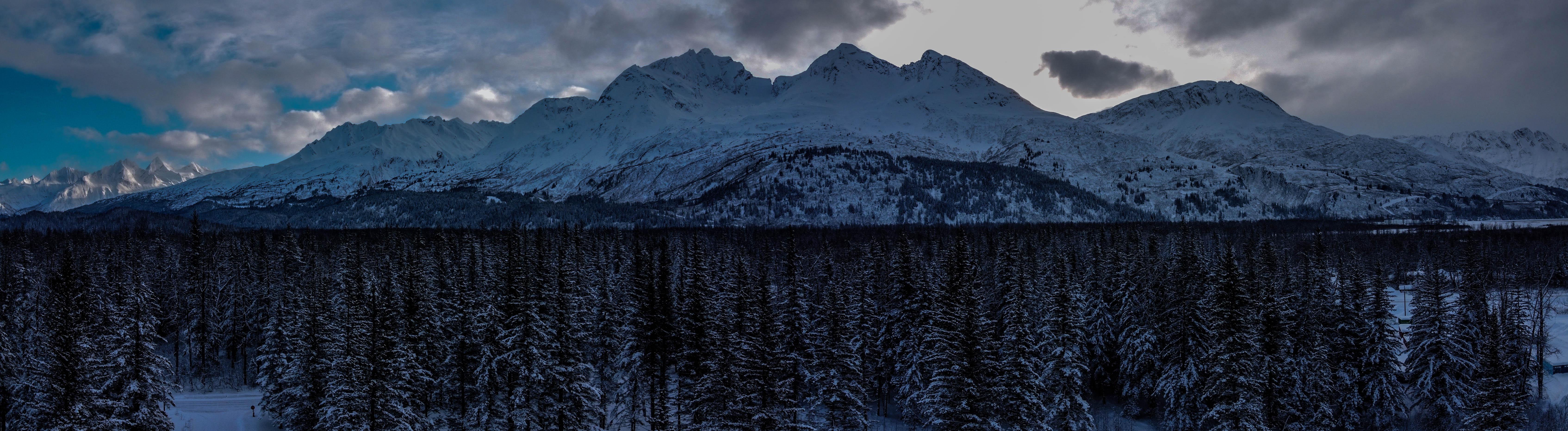 Goodnight, sweet Prince (William Sound) r/alaska