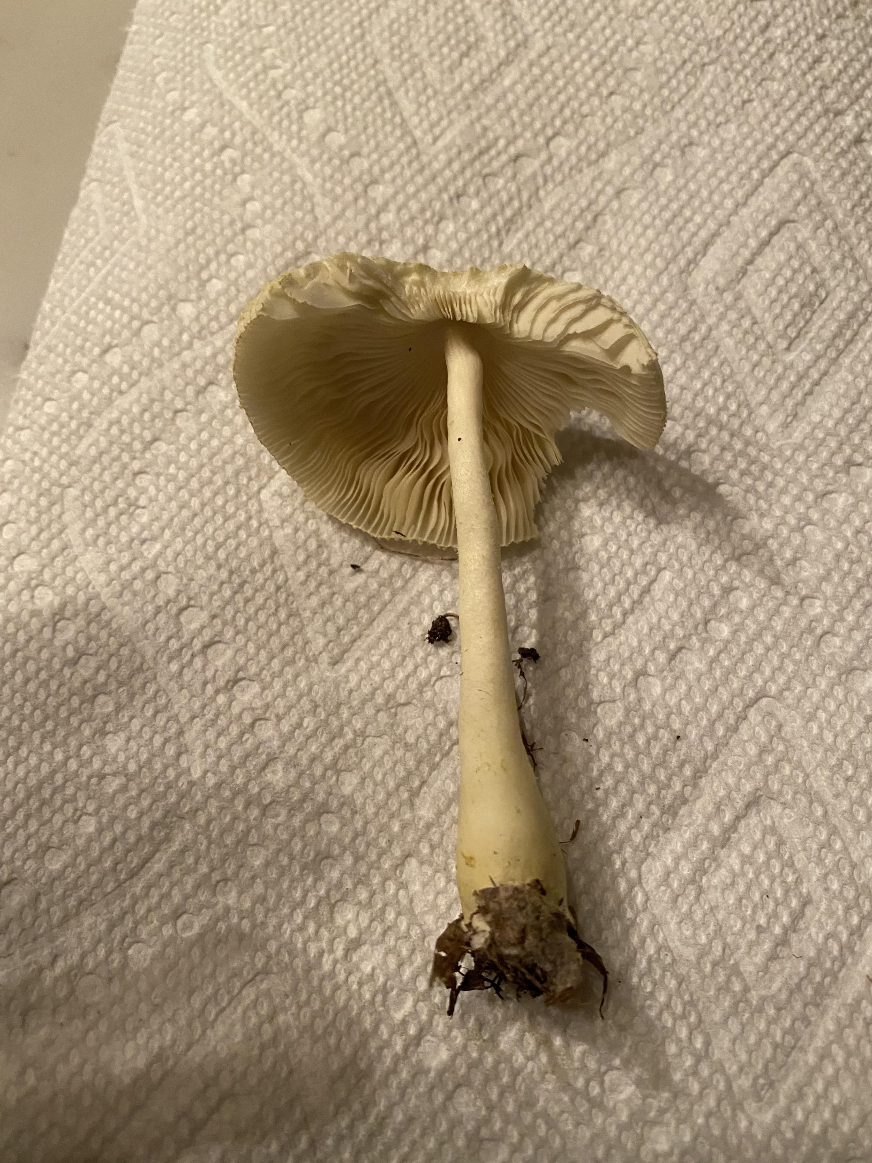 10 best u/aboothe726 images on Pholder Reddit Com, Pics and