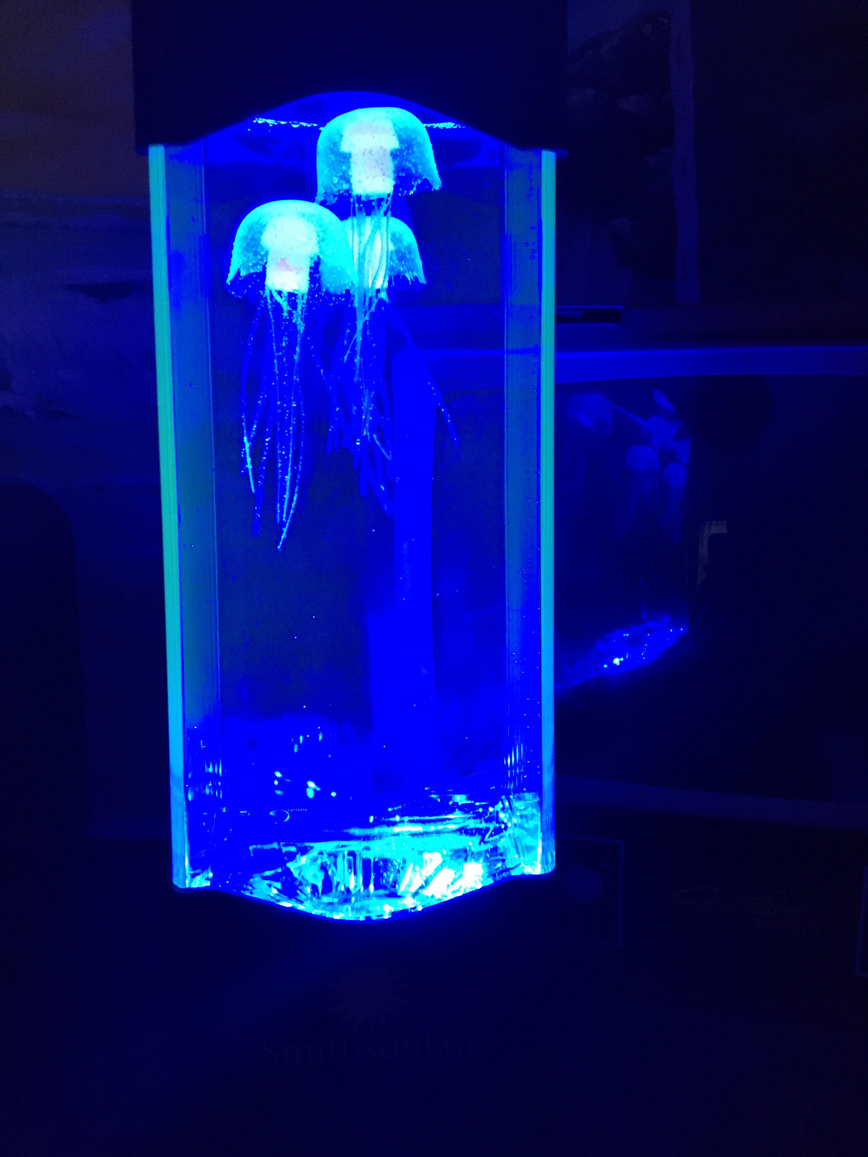 I got a Smithsonian jellyfish tank r/smithsonian