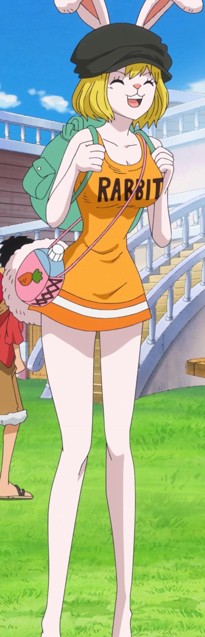 Who’s up for carrot to join the straw hats? r/OnePiece