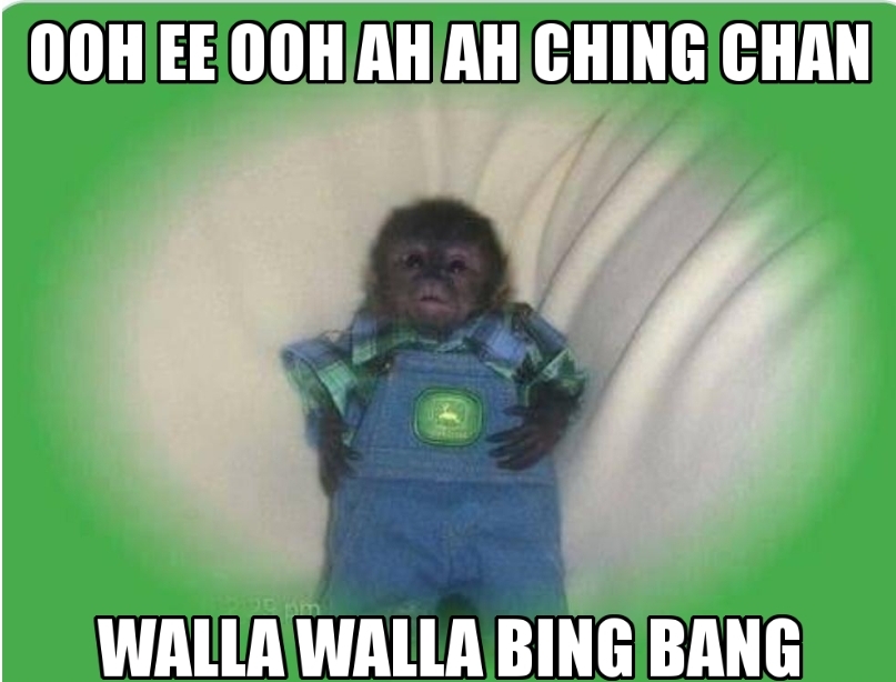 Monky sing cool song 😎 okbuddyretard