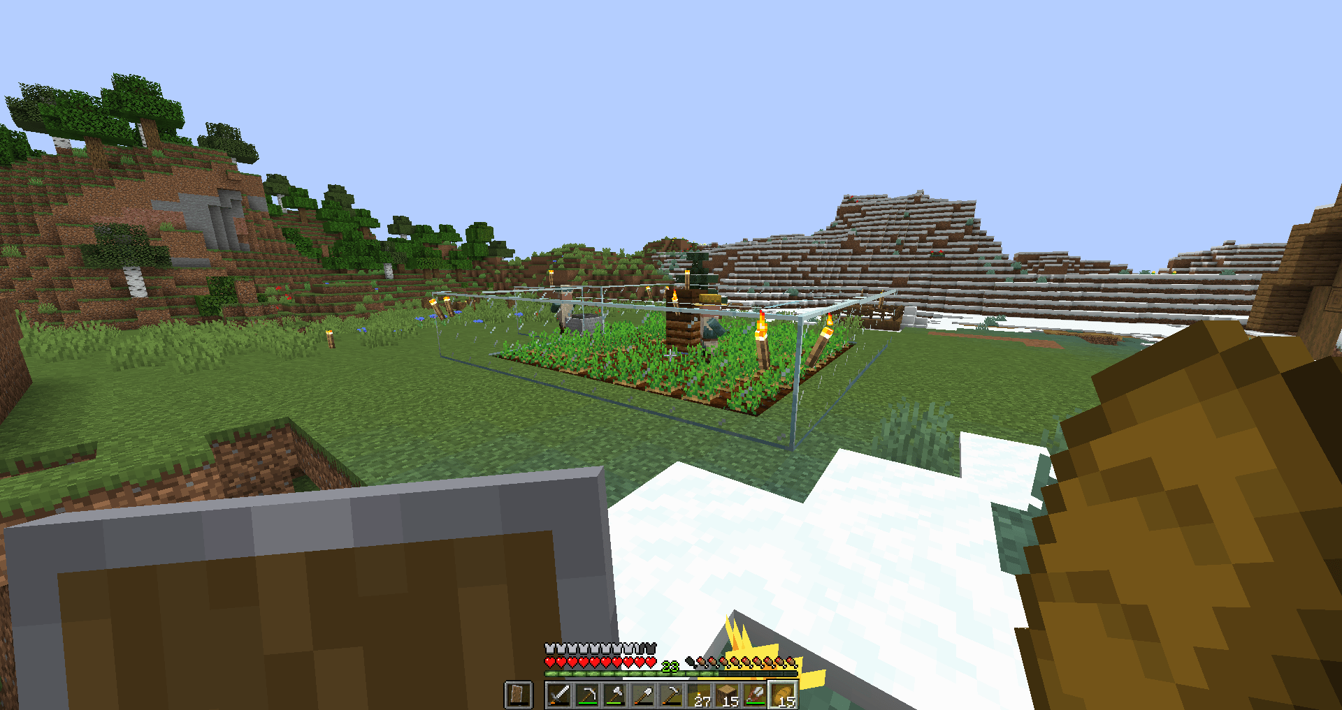 i made a potato farm where the villager throws potato's to another villager but is is