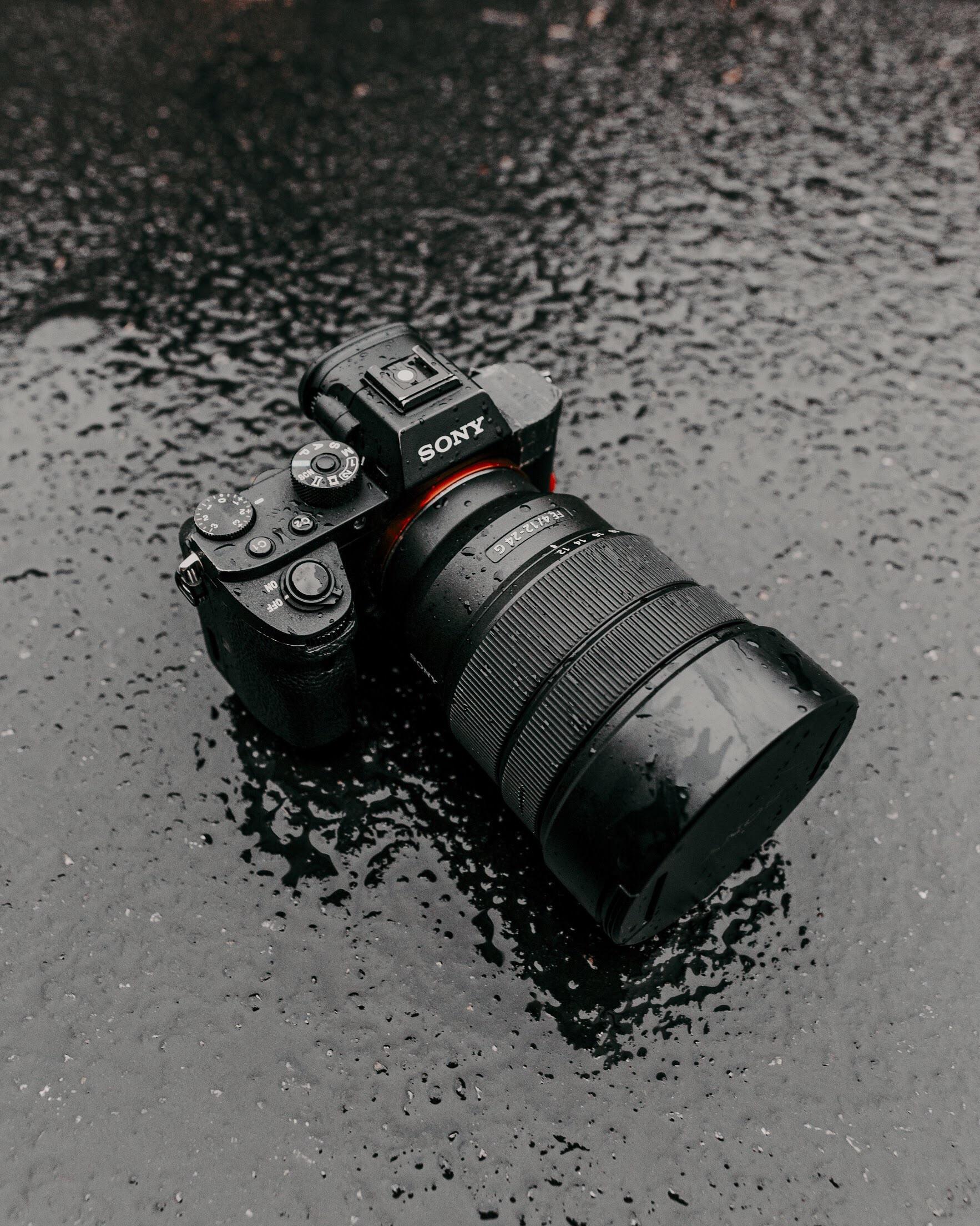 Ended up getting rained on. What weathersealed lenses do you guys use