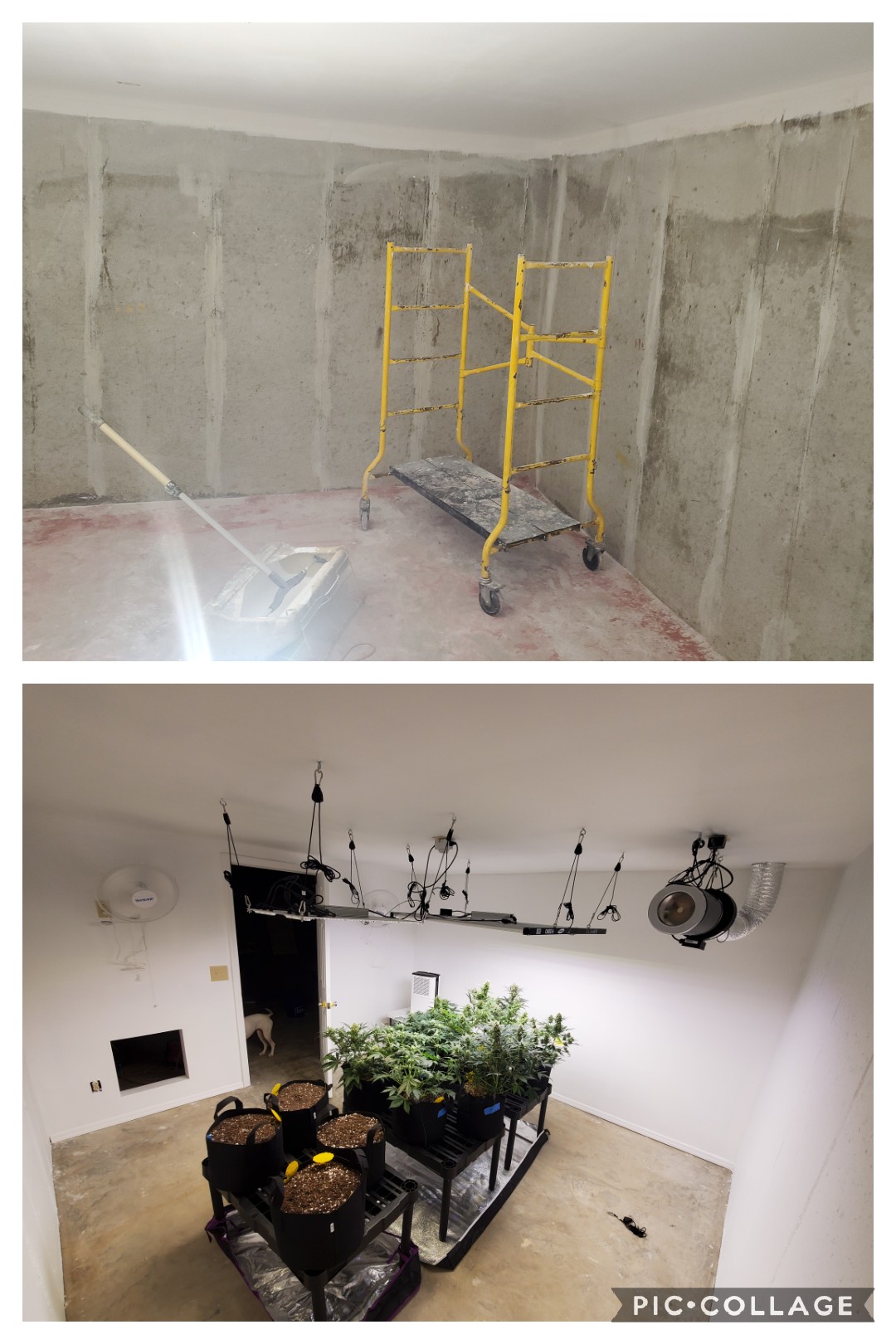 12x12 grow room finally complete! r/microgrowery