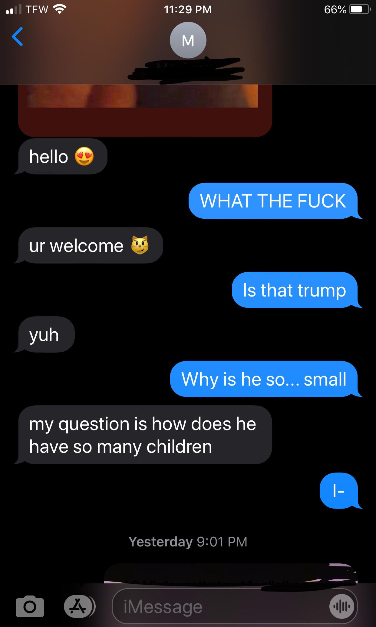 My sister sent me trumps nudes : texts