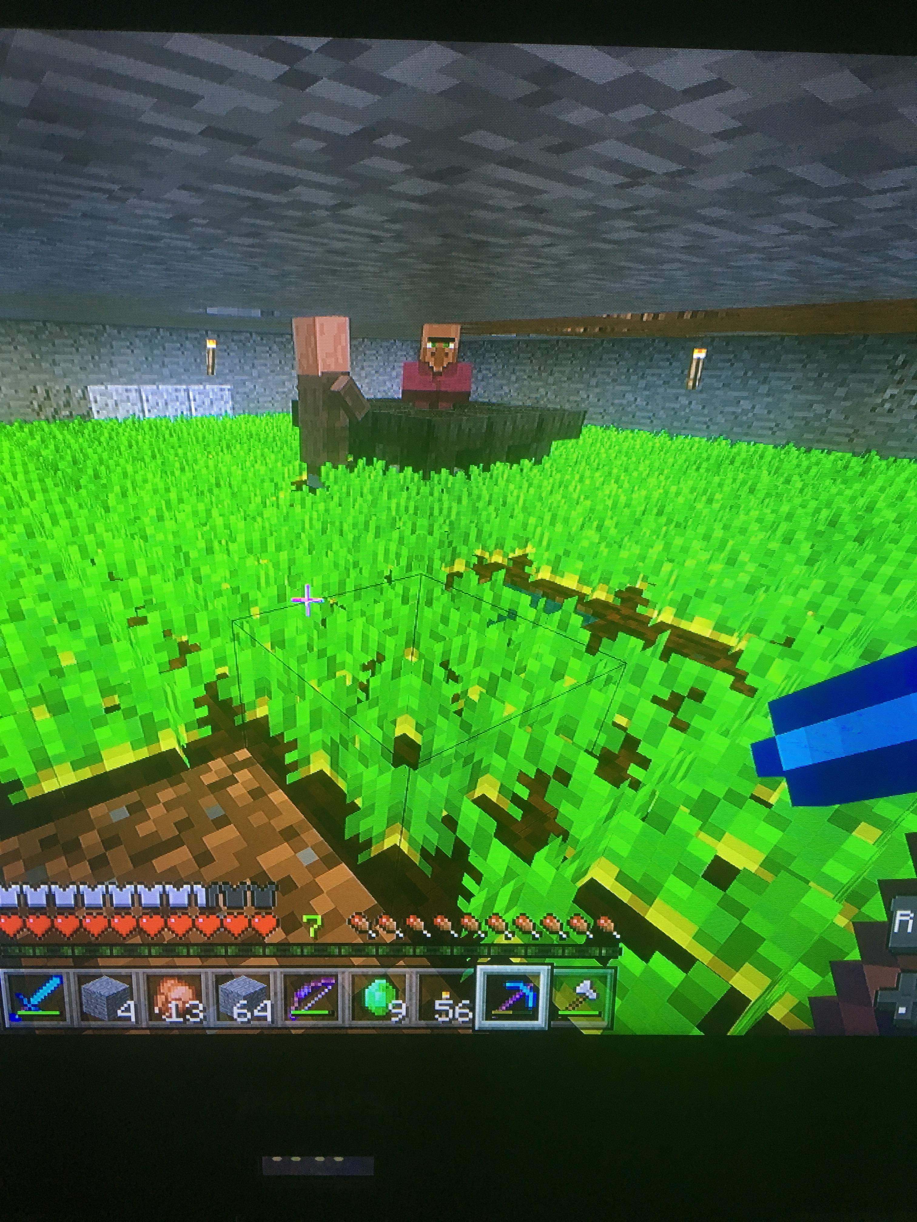 Villager farm Minecraft