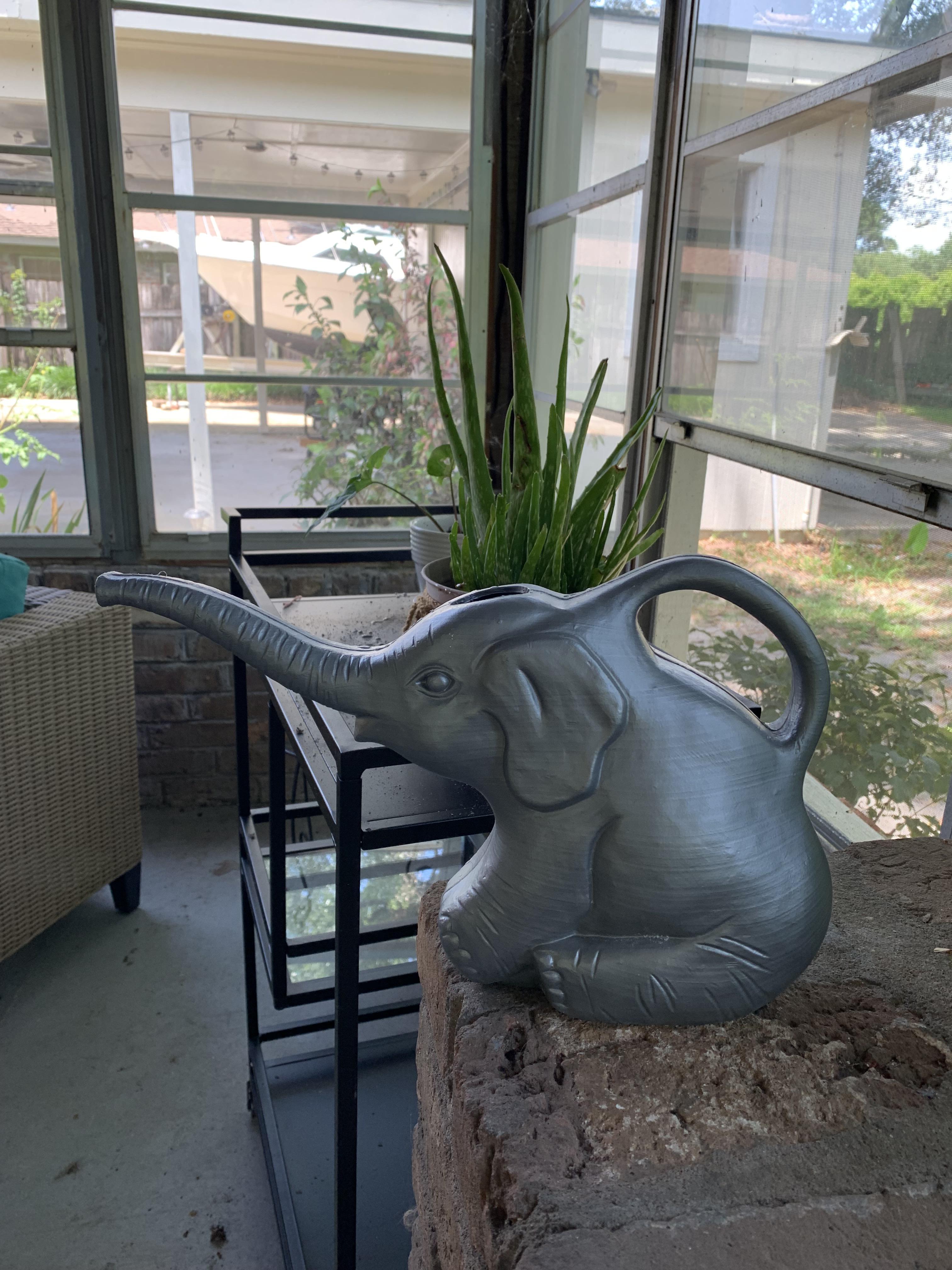 I know the actual plants make everyone here happy but I’m sure I’m not