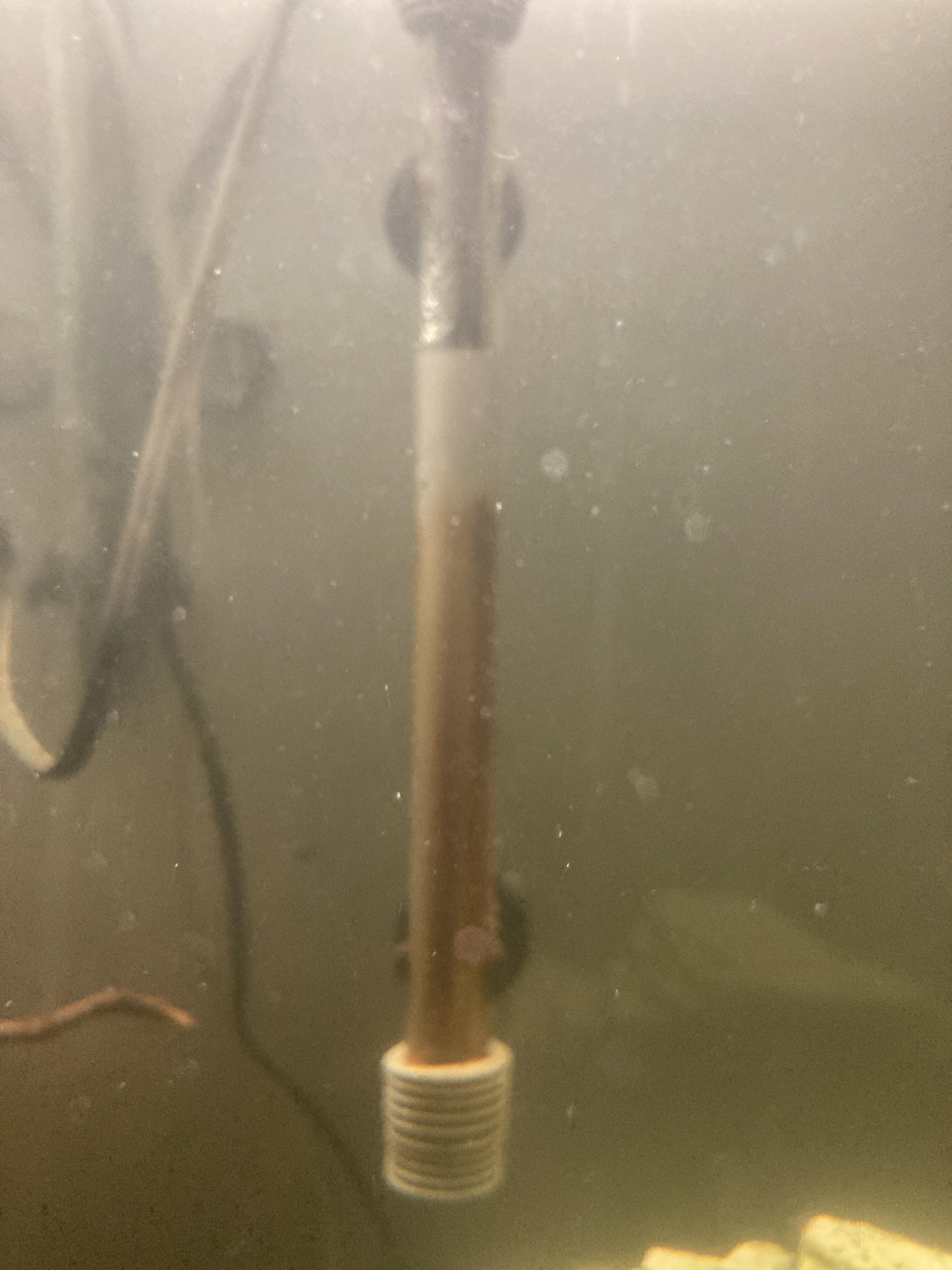 Aquarium heater is burnt. Any ideas why or how? r/Aquariums