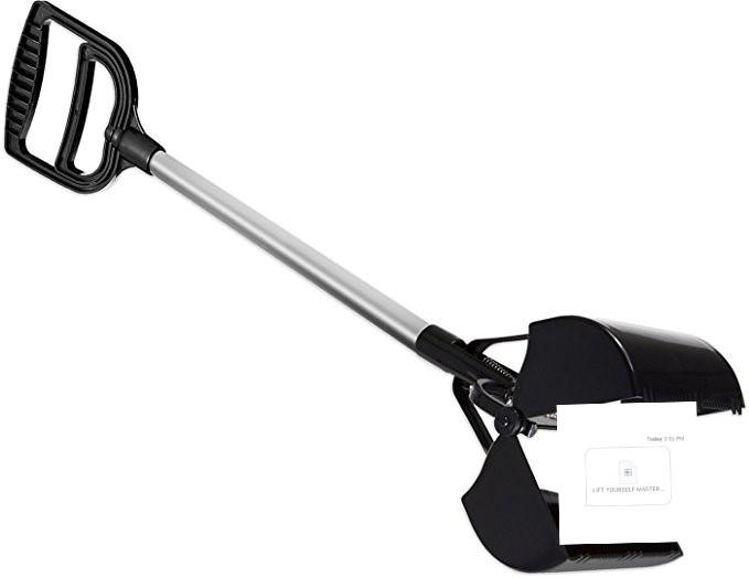 Mods are asleep, upvote this pooper scooper scooping whoop di scoop di