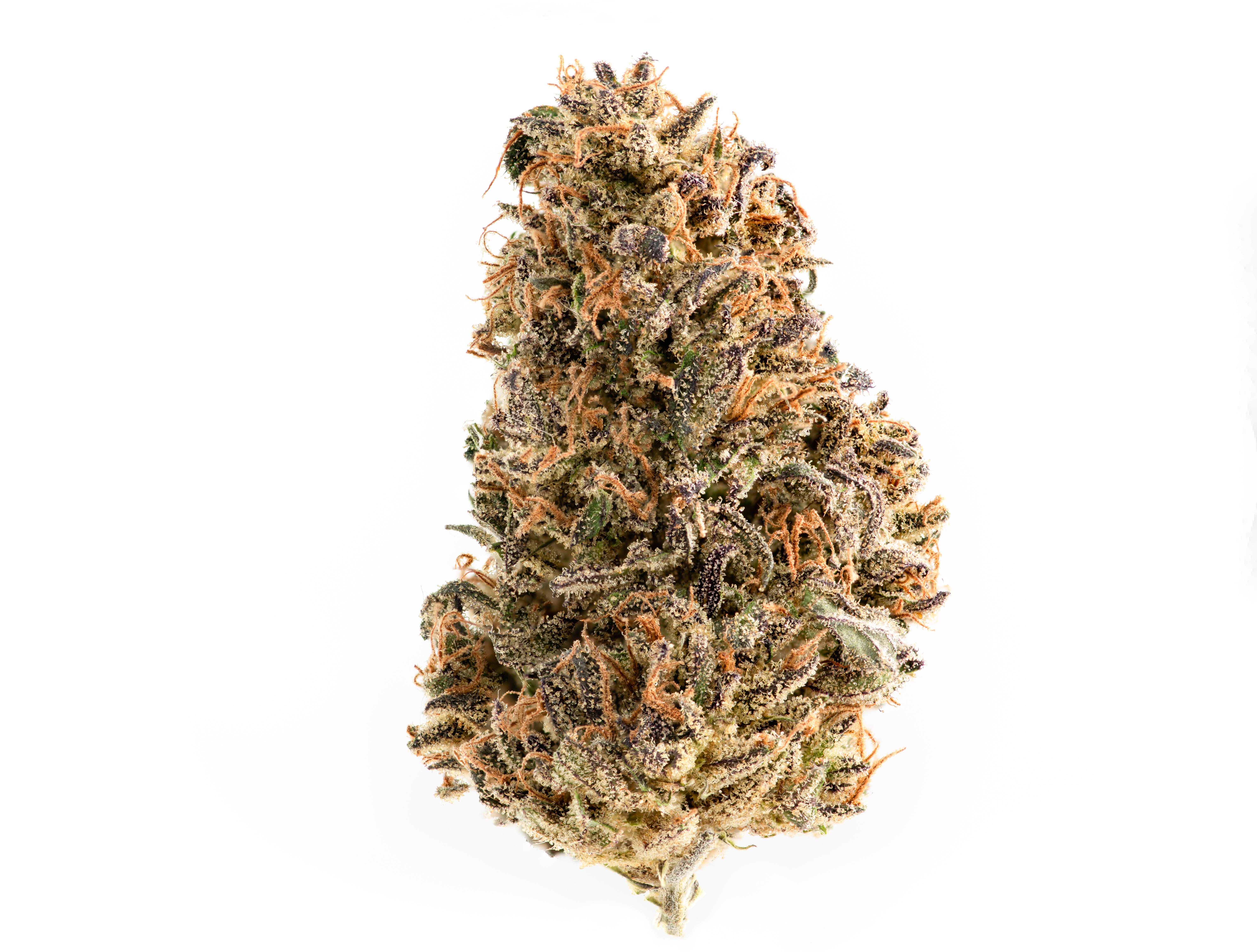 As long as we are posting Lifter photos... here is Sunset Lake CBD's