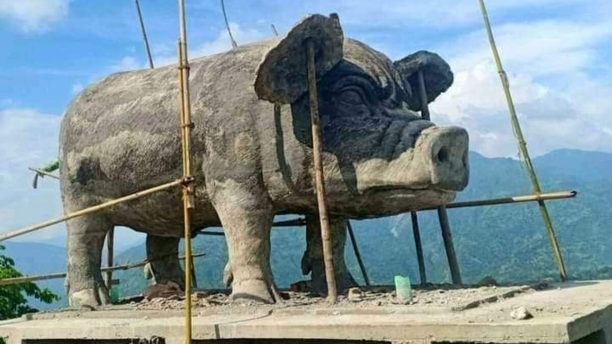 What do you think about this 60 lakh Pig Statue? r/Nepal