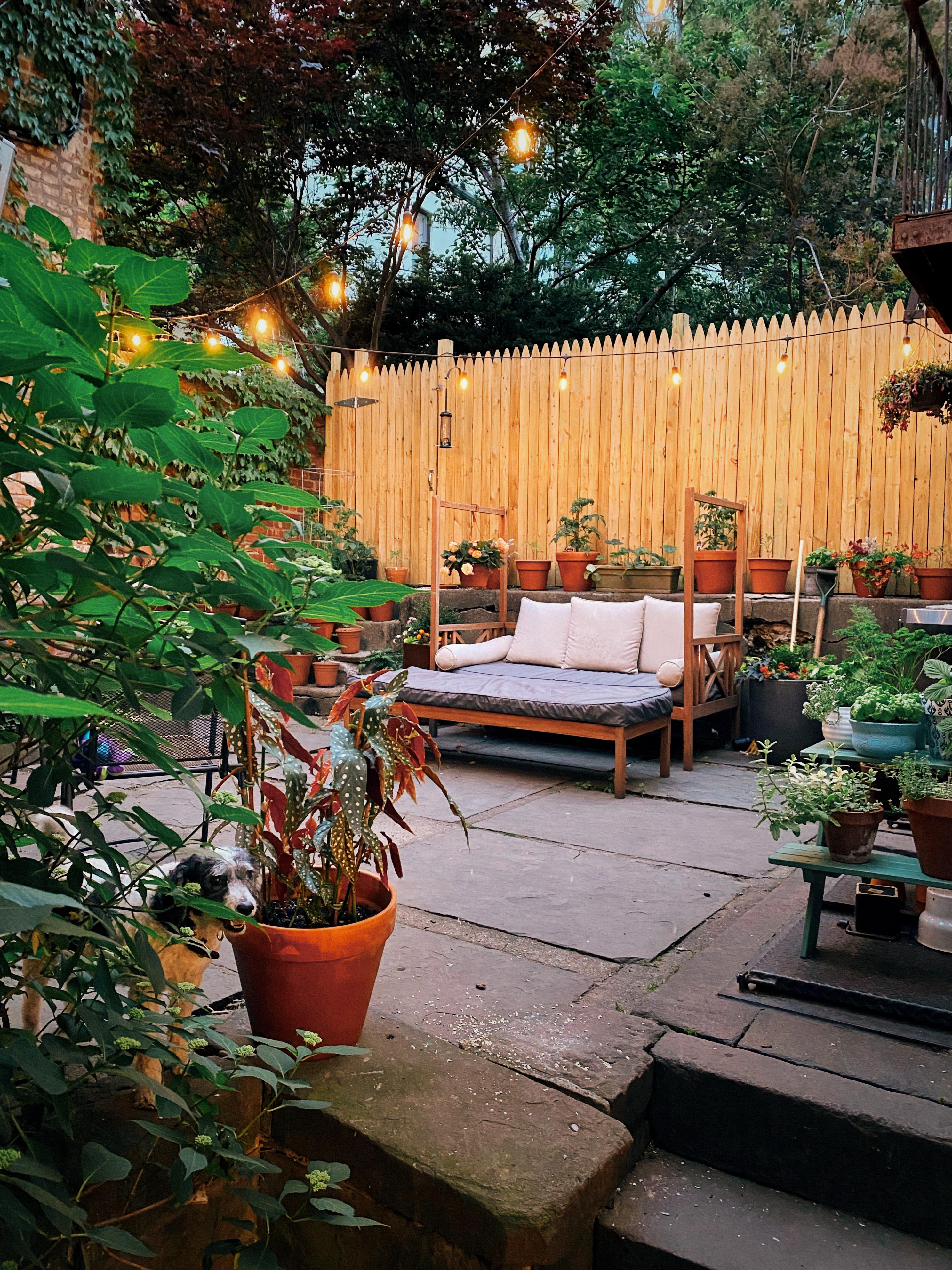 My Tiny Brooklyn Backyard r/CozyPlaces