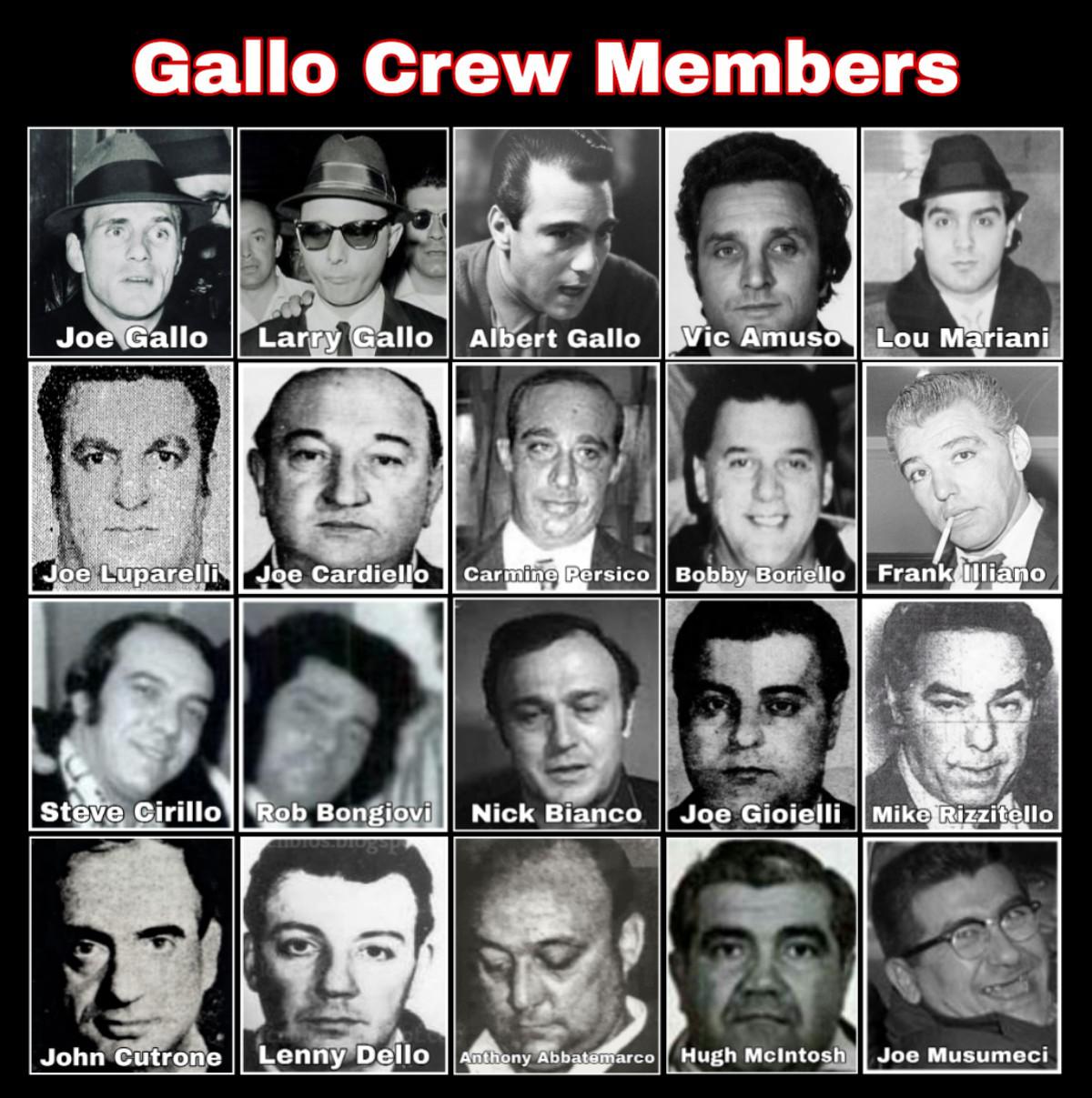 A fraction of the Gallo Crew r/Mafia