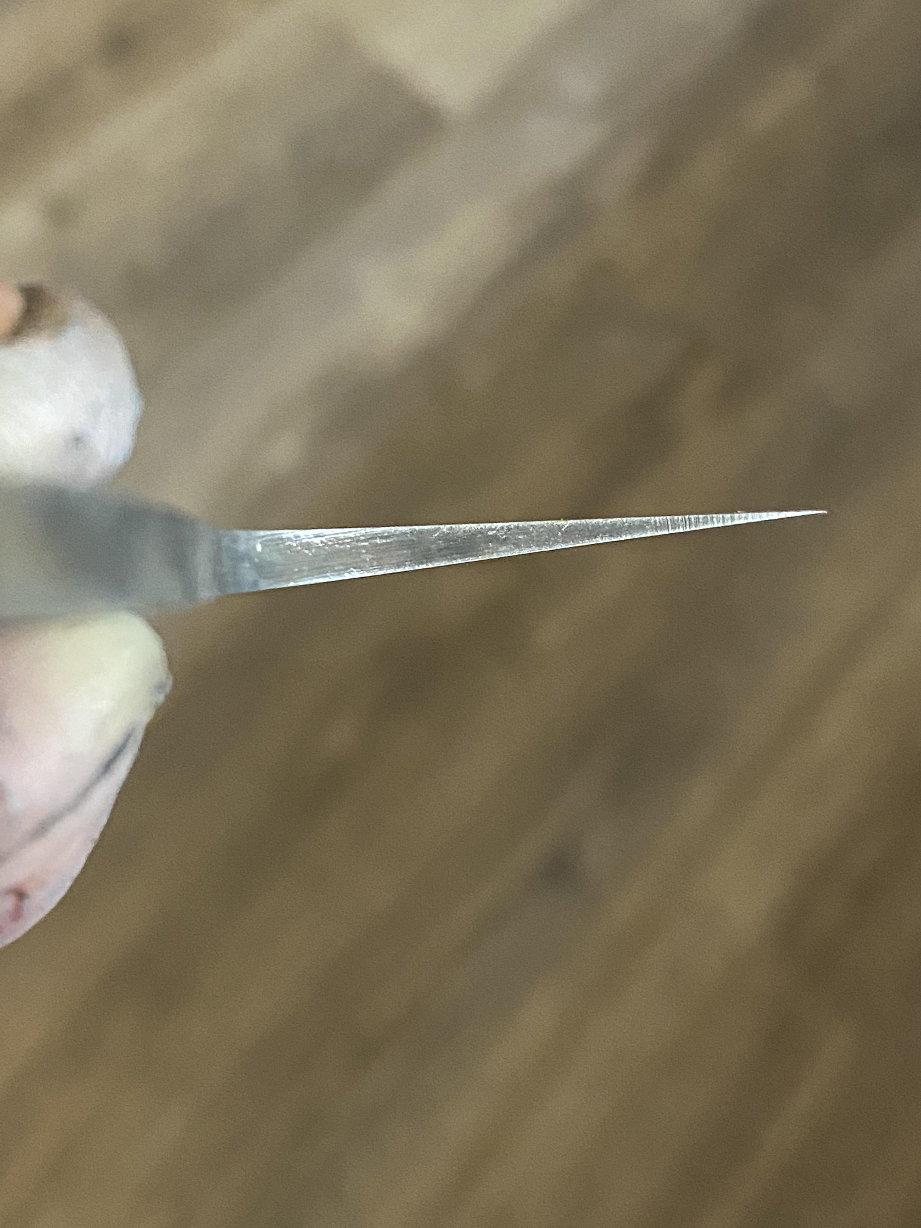 Chef knife bevel r/Bladesmith