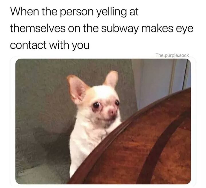 *screams internally* memes