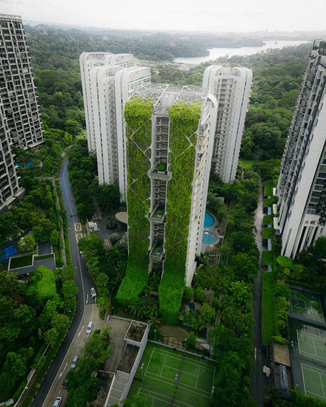 Tree House, Singapore r/ArchitecturePorn