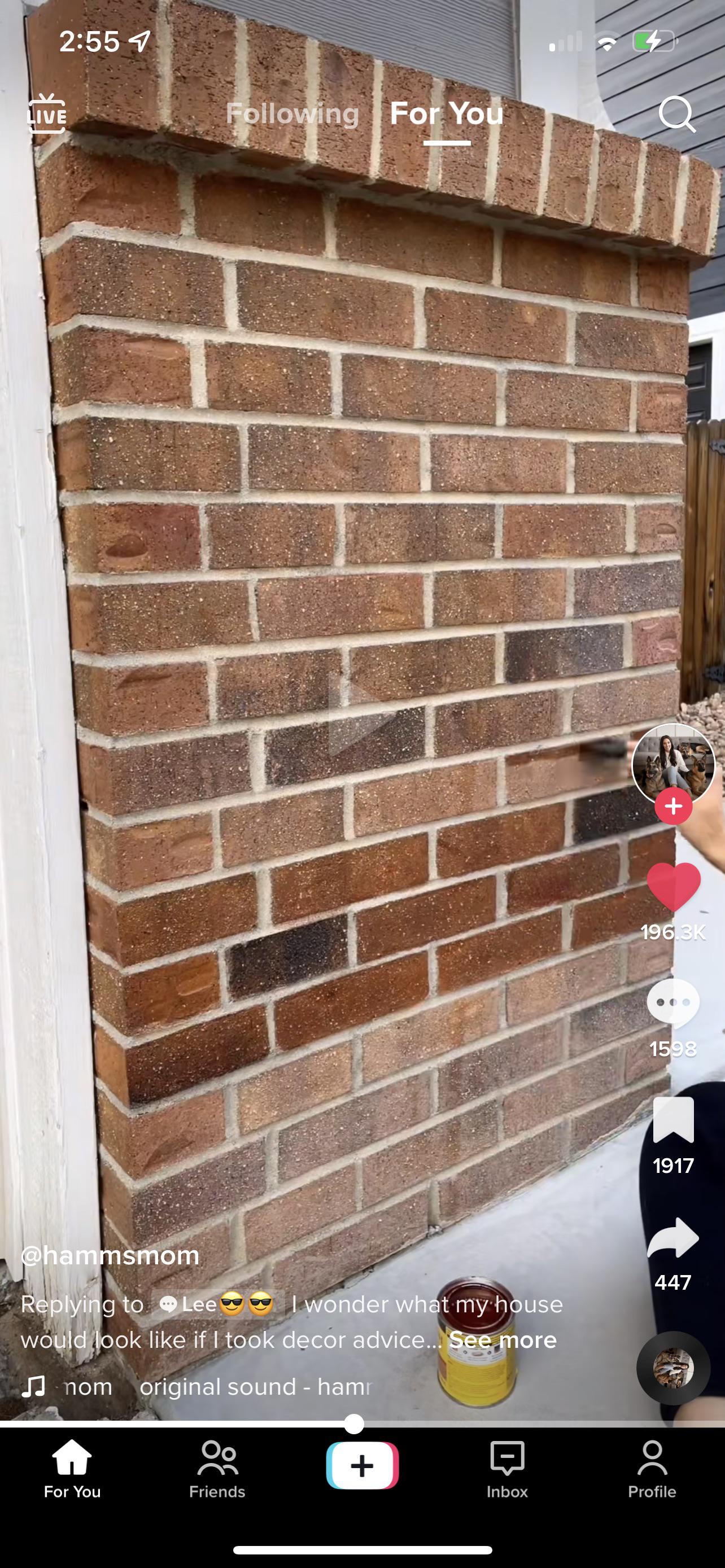 OMG just staining my outdoor brick with interior wood stain🥰🥰🥰 r