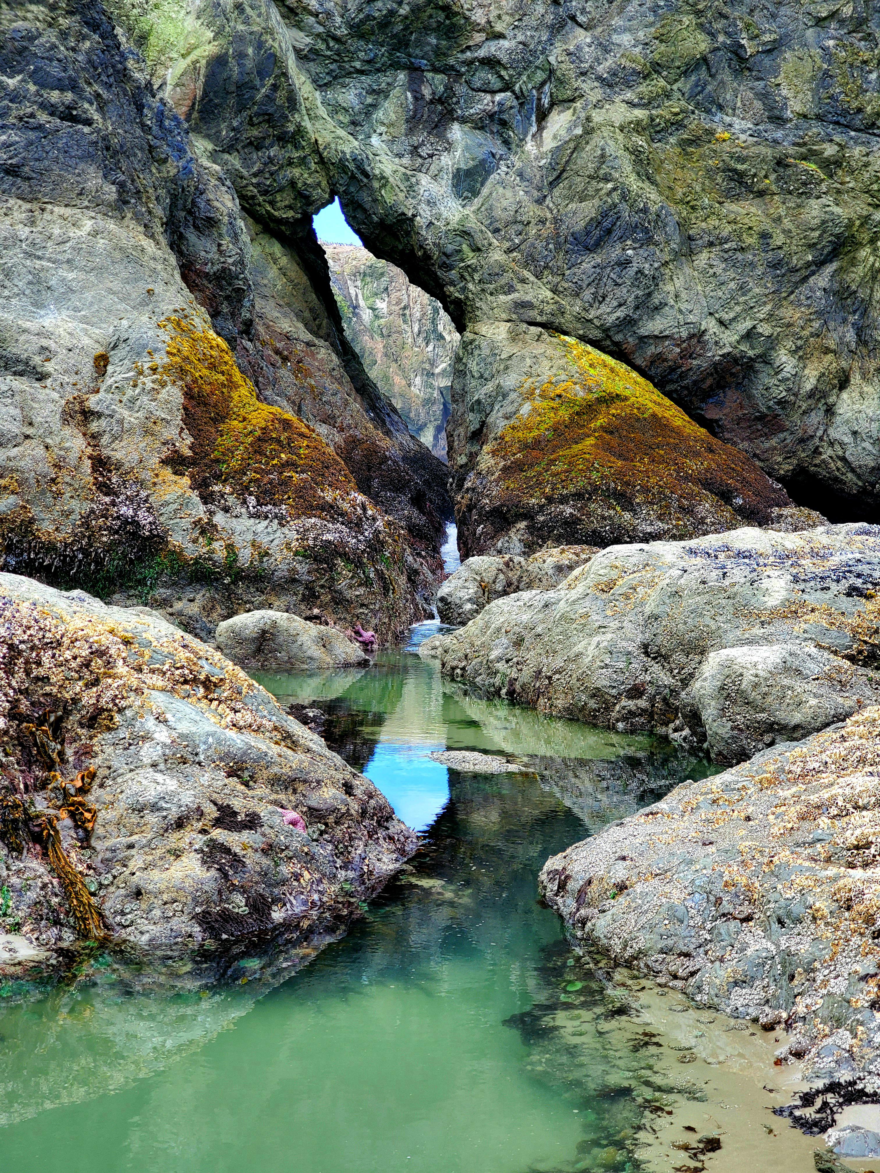 Tranquil Tide Pool in Bandon, Oregon. [OC] [3024×4032] r/waterporn