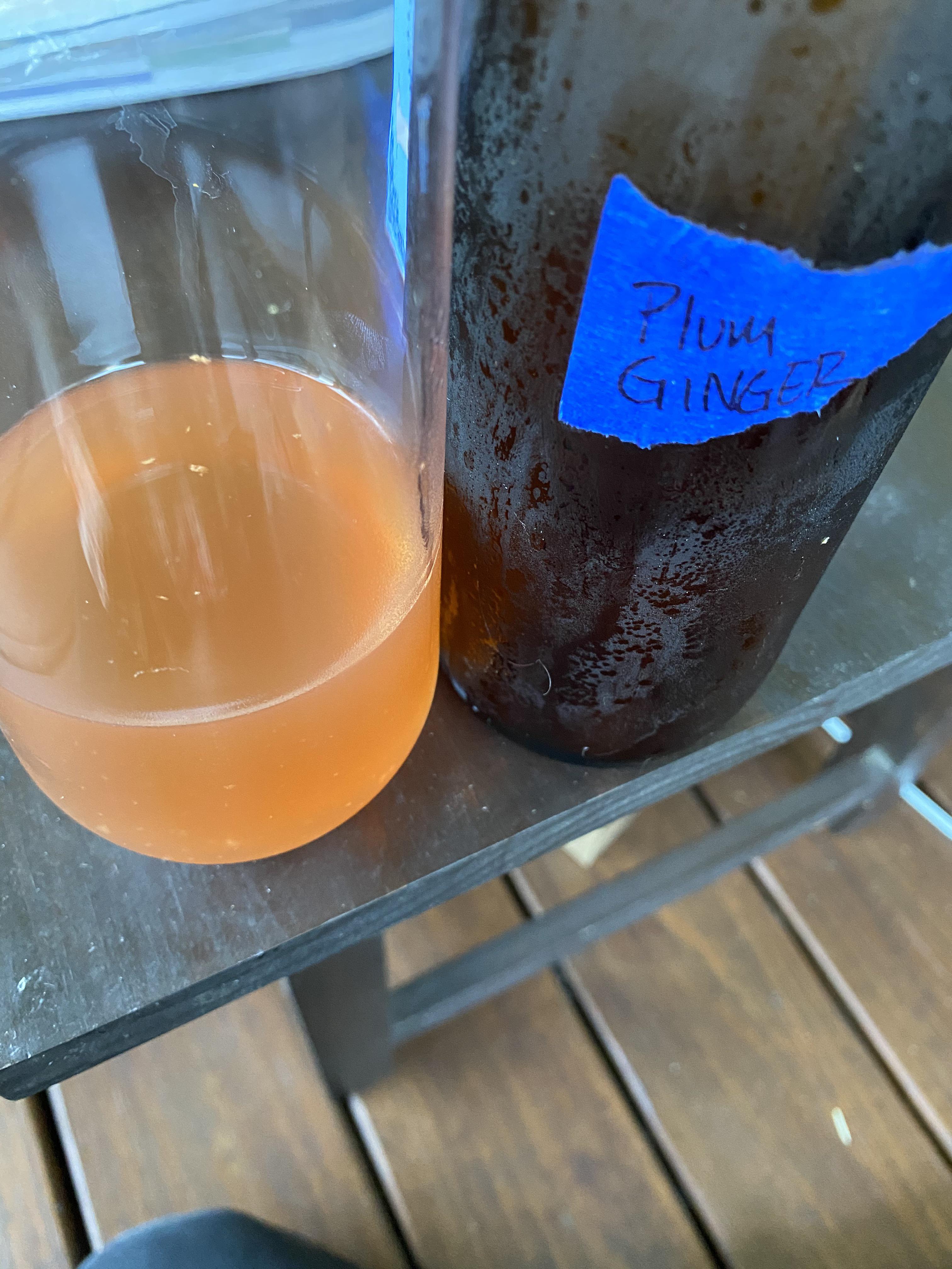 No carbonation but the flavor of the plum and ginger is delicious. Very