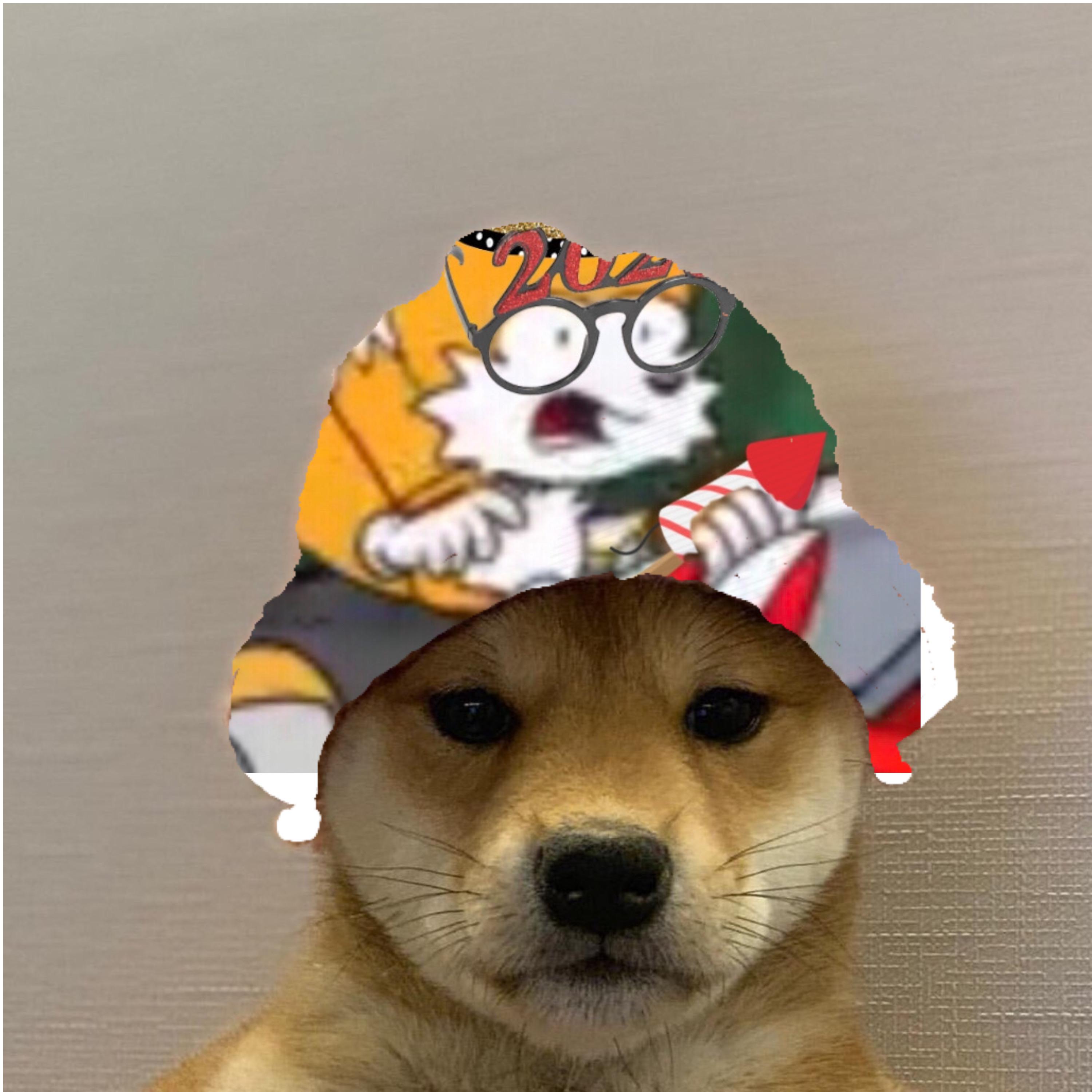 1080x1080 Gamerpic Doge In A Hat