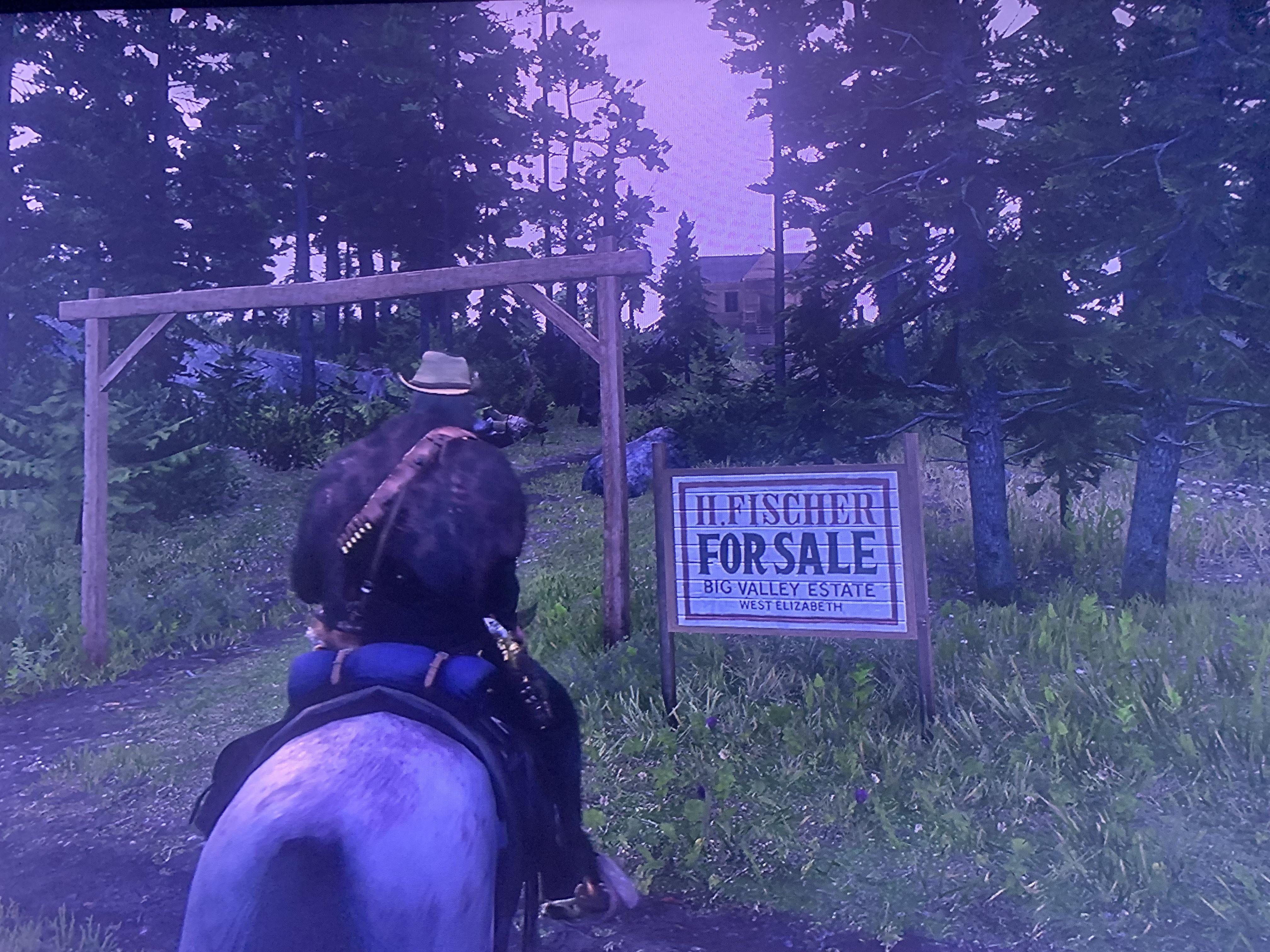Do y’all think that buying properties might come some day? r/RDR2