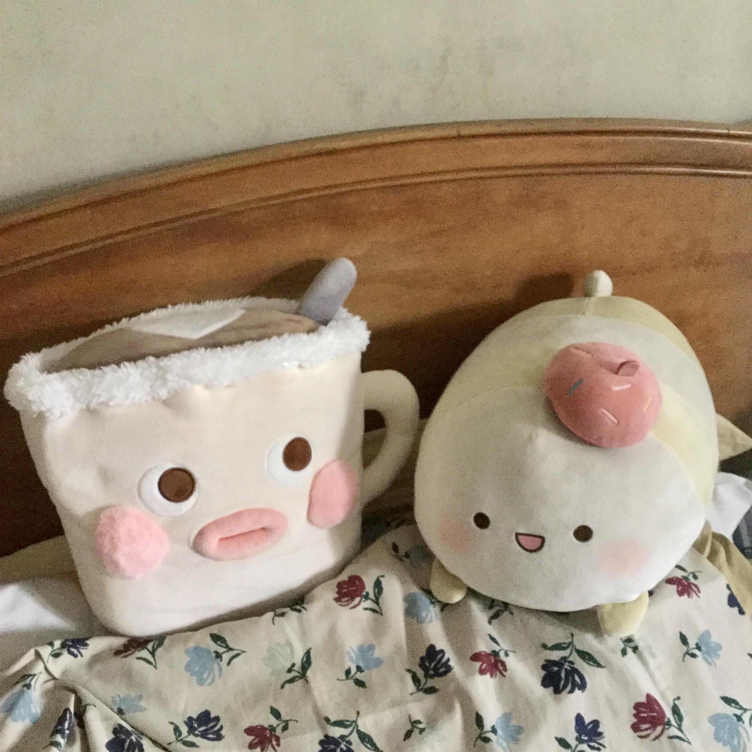 my besties Kohi and Keki ☕️🍰 (from Miniso) r/plushies