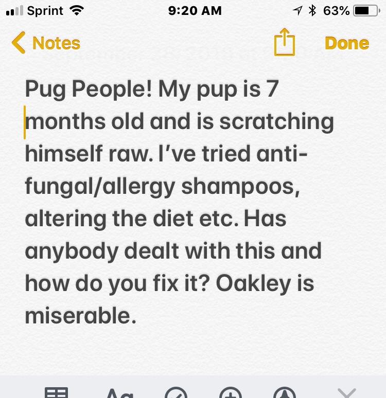 Help my itchy pug! r/pugs