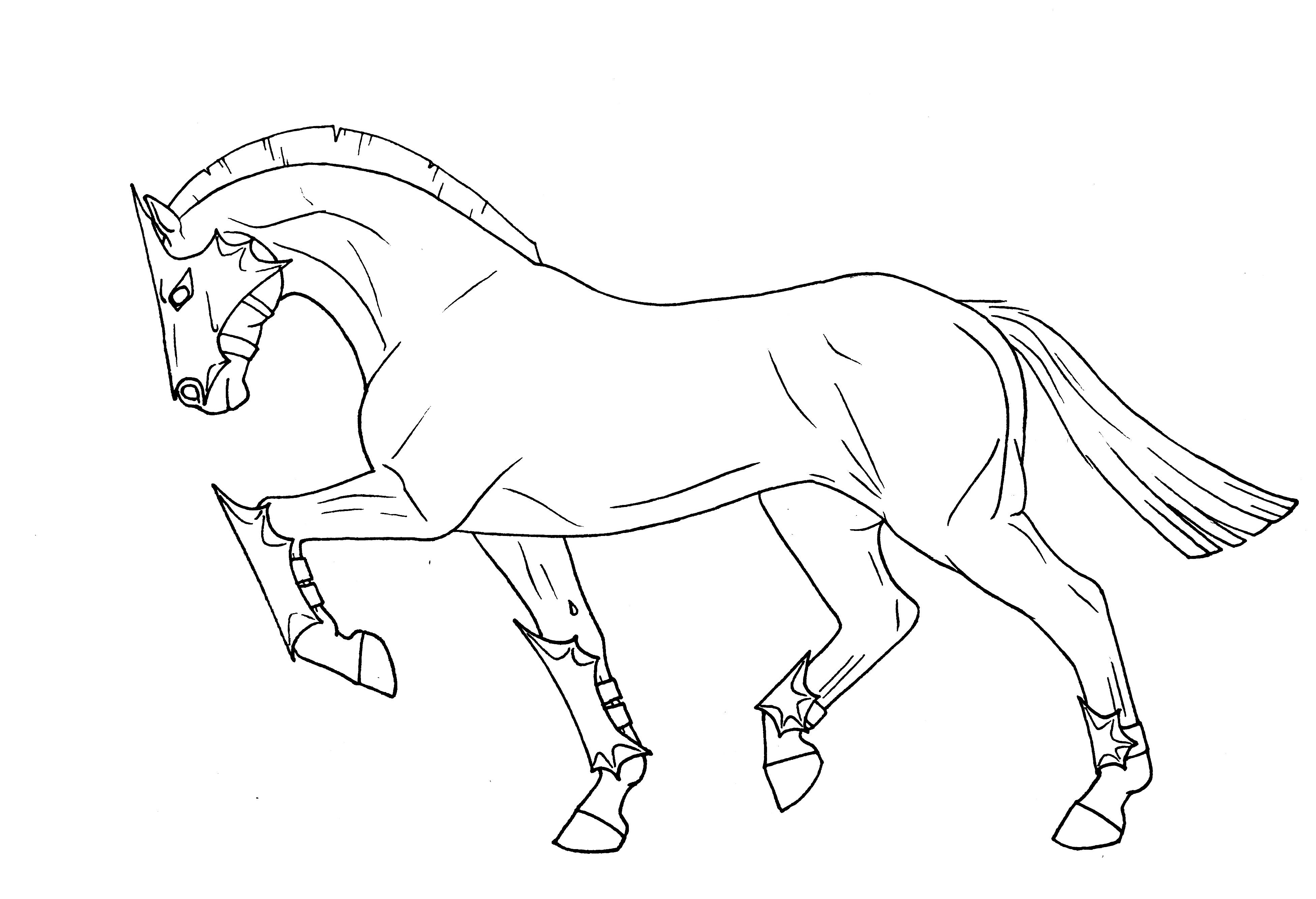 War Horse Coloring Pages