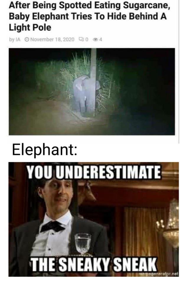 He snucked a sneaky sneak. r/memes