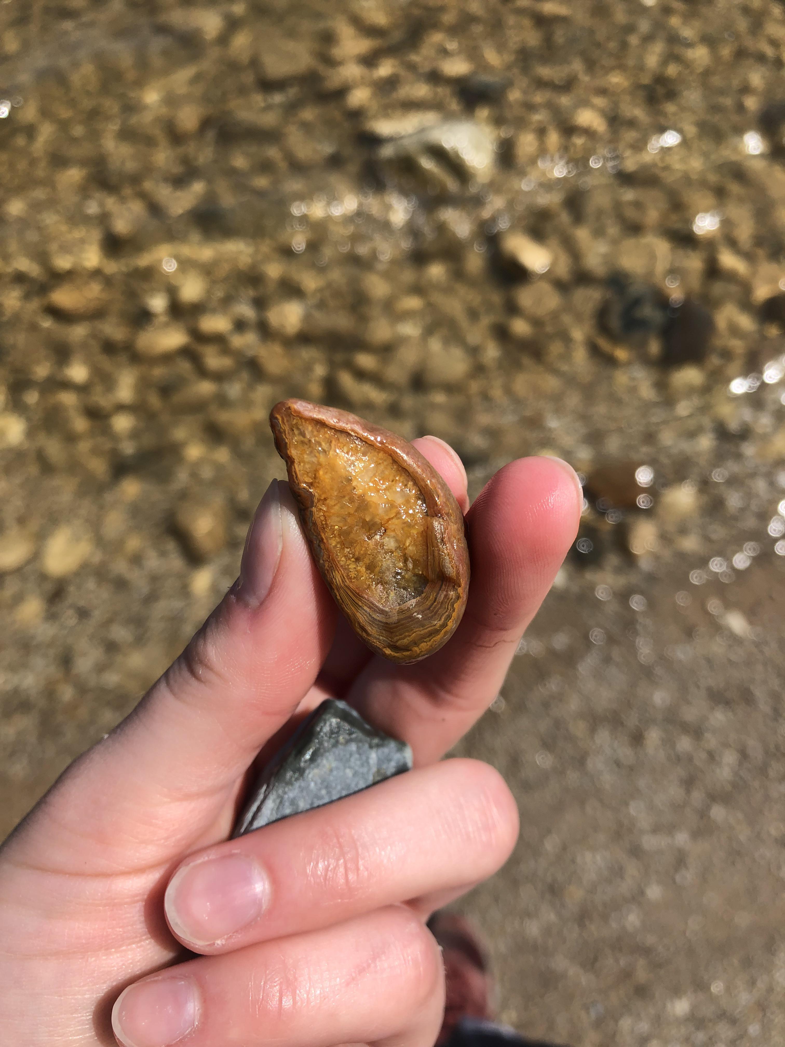 What type of agate is this? Found on Lake Huron r/whatsthisrock