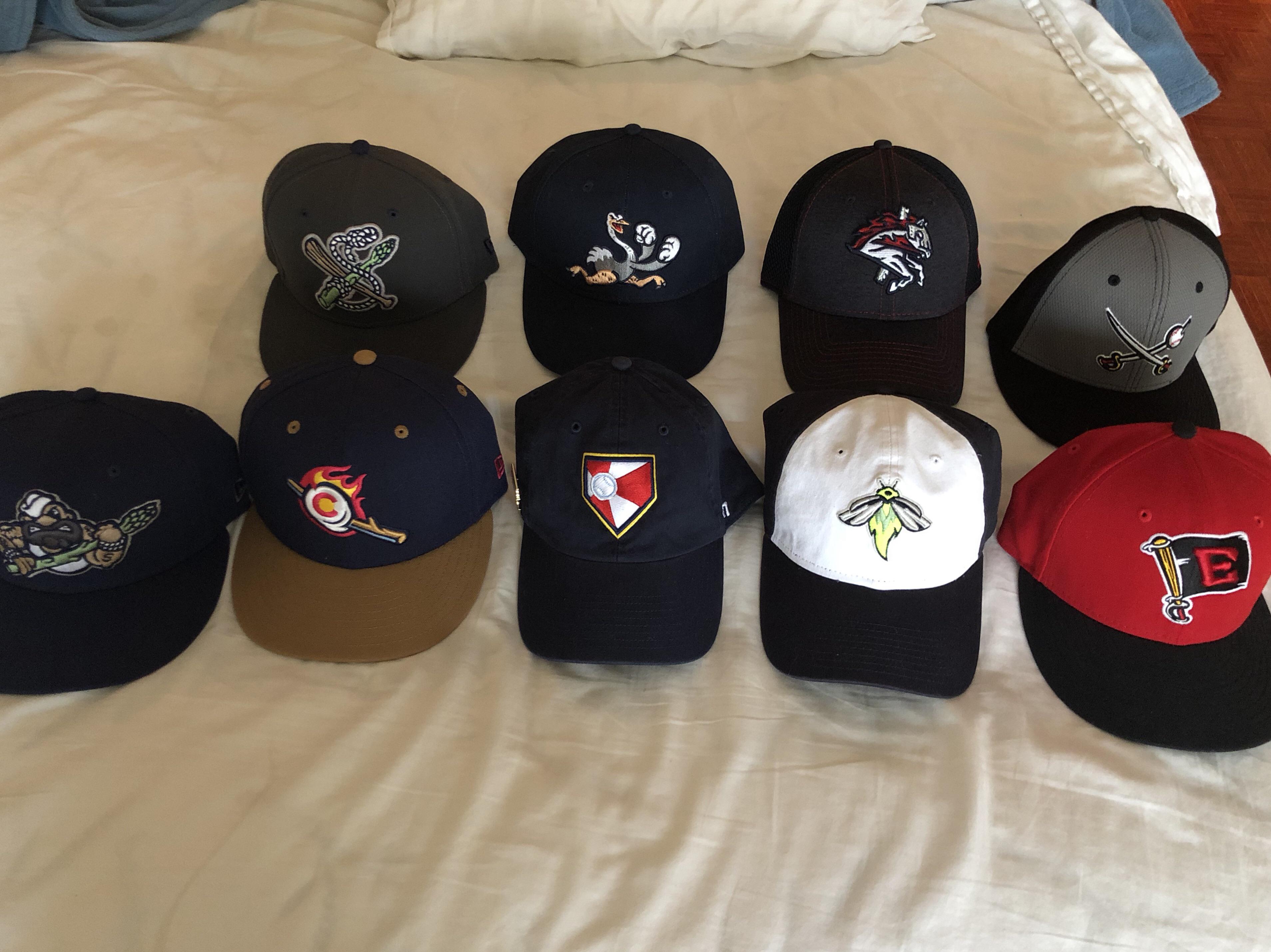 2019 PreChristmas MiLB Team/Alternate Logo Collection r/MinorLeagueMerch