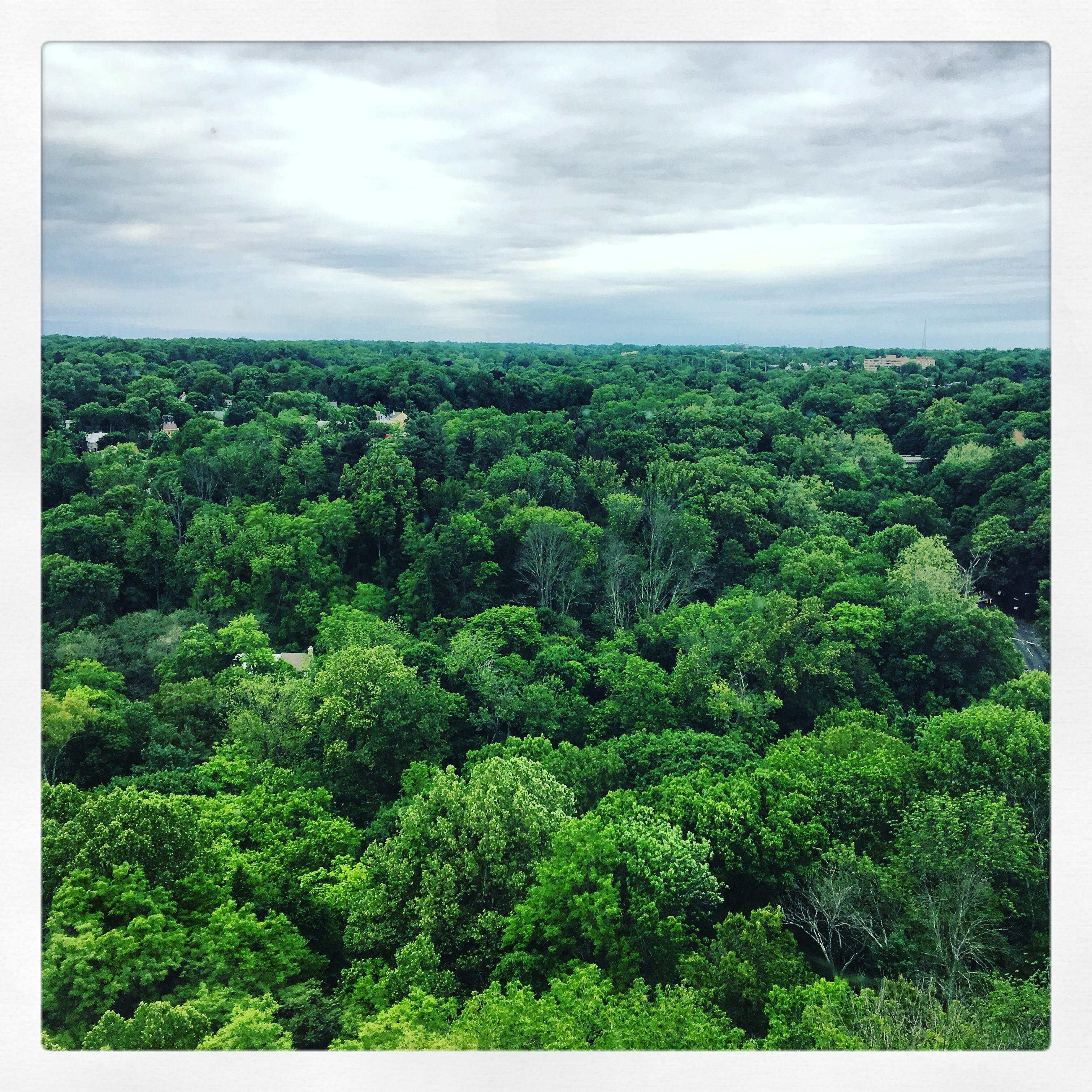 Alden Park Penthouse View r/philadelphia