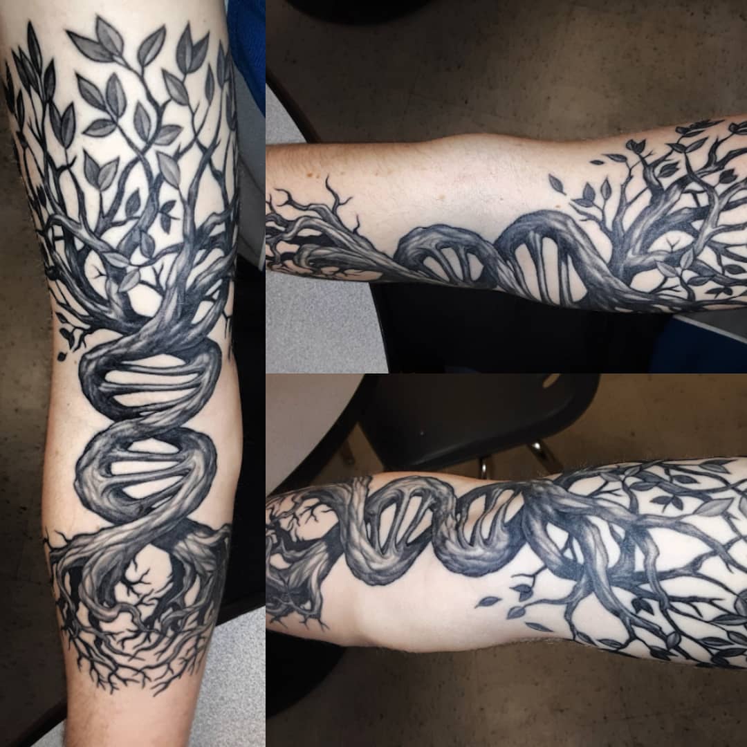 Repost for better view. TreeNA by Steve Huntsberry