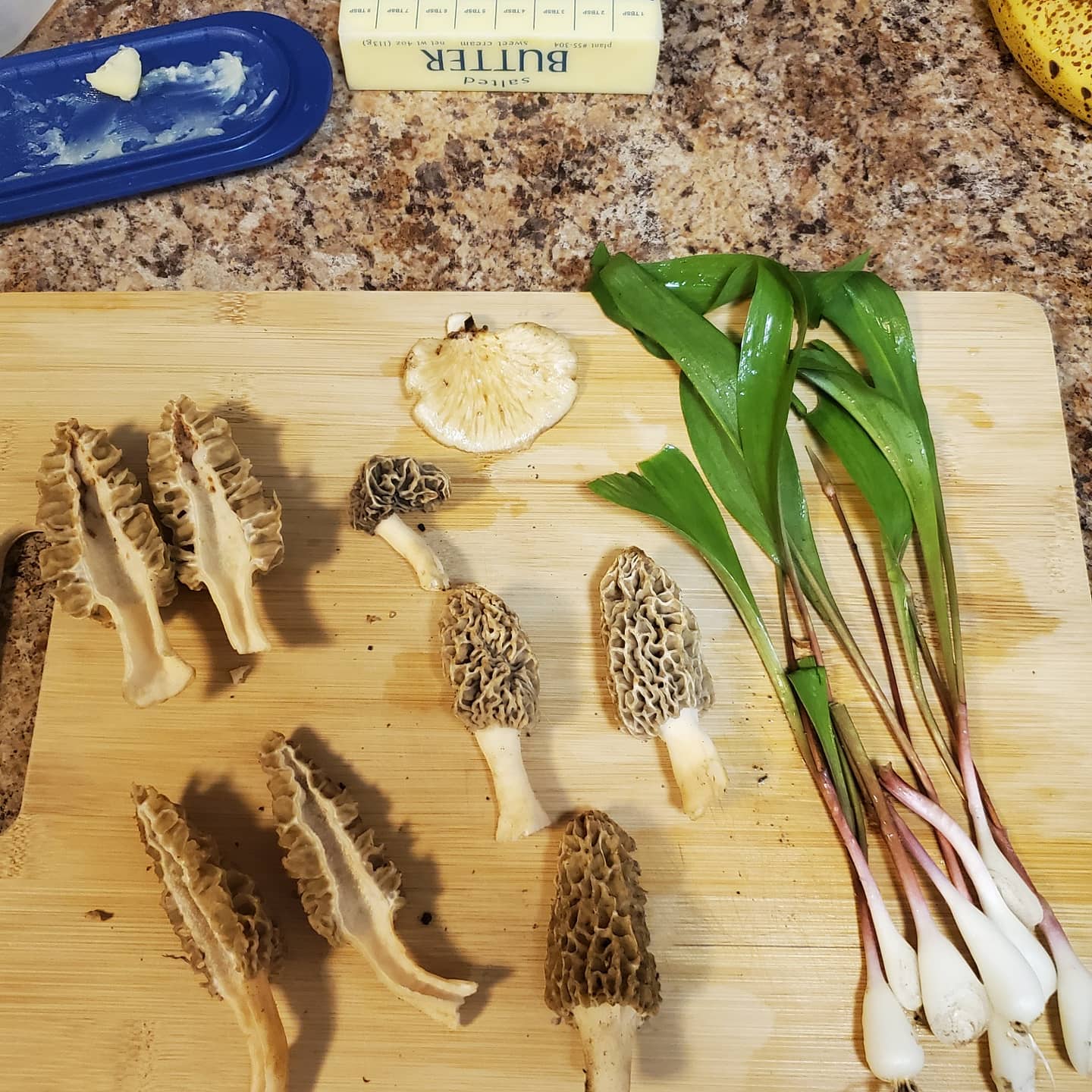 Morels, Ramps, and even a small pheasant back! Made for a nice little