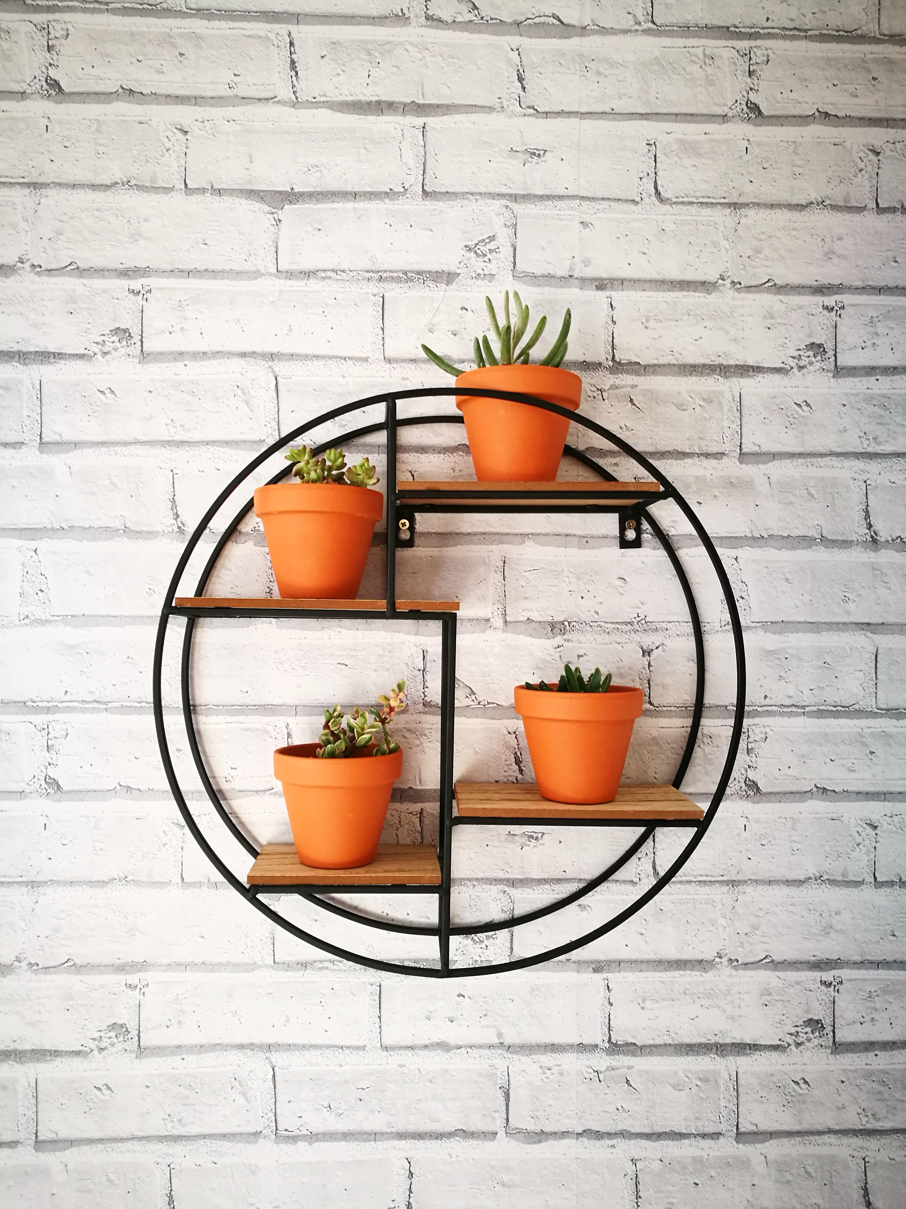 As requested, My circular style shelf unit! r/succulents