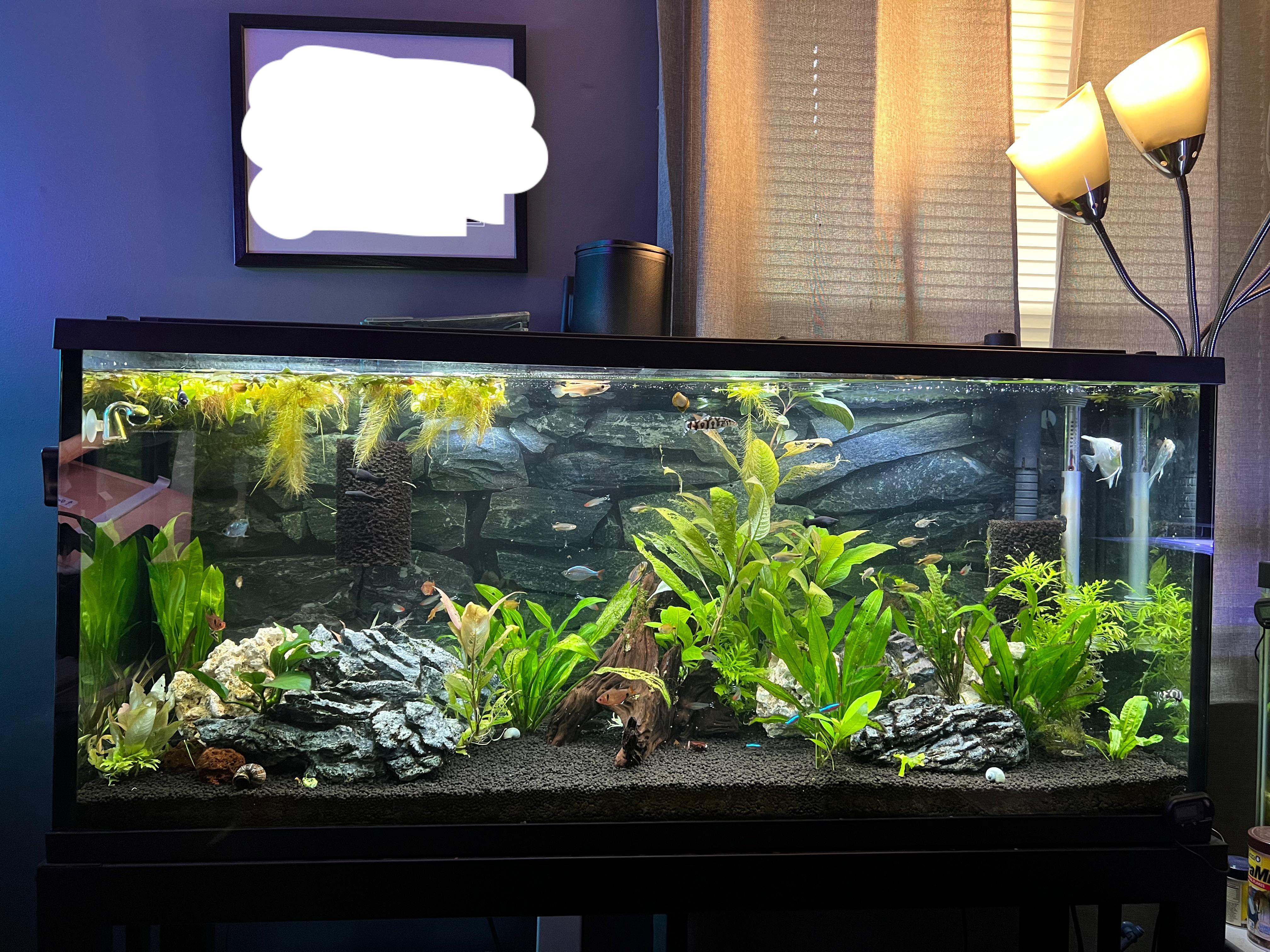 Need ideas on leveling a running tank. The metal stand I’m using has