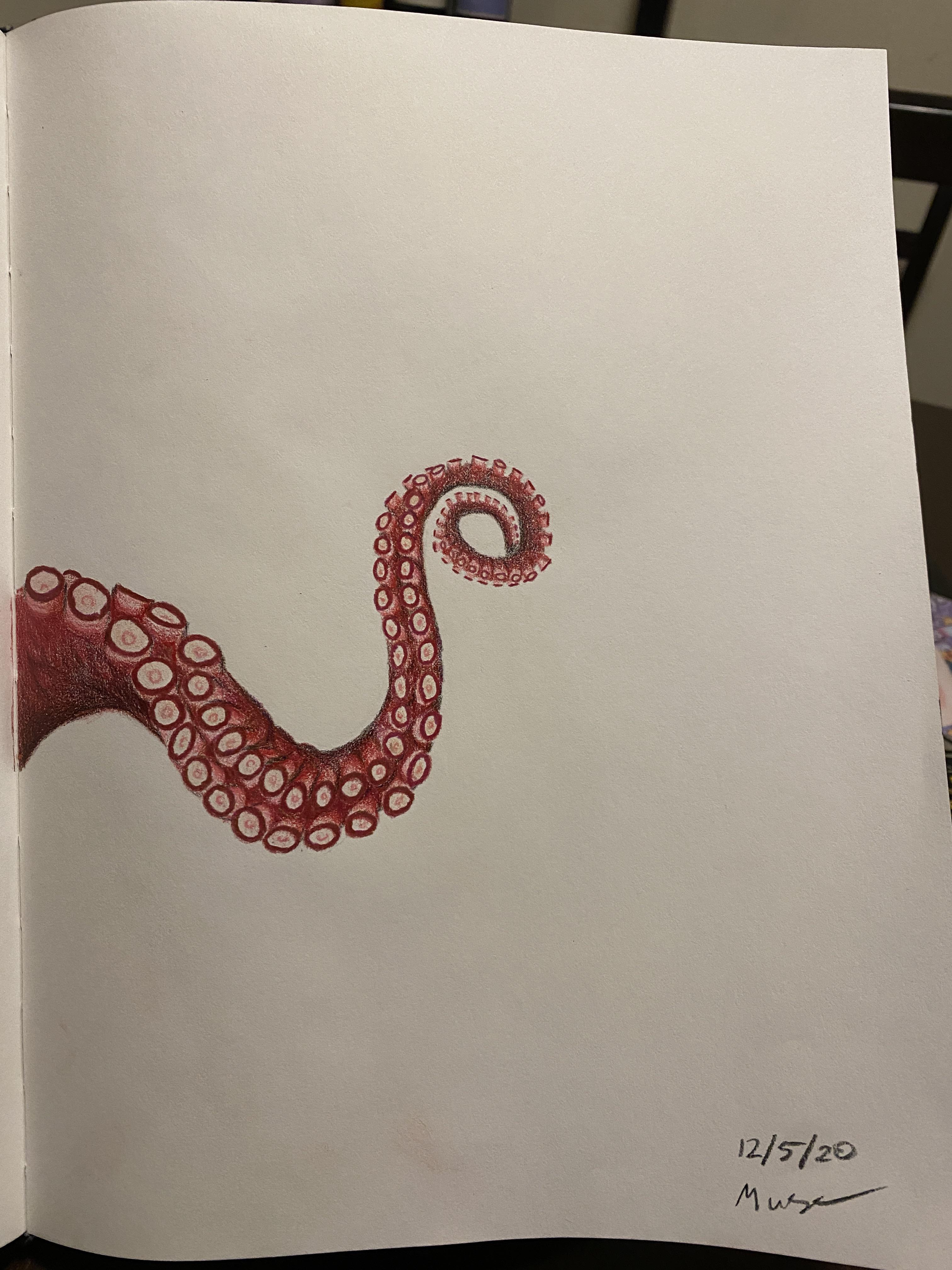 I drew an octopus tentacle! First time drawing since October 2018 r