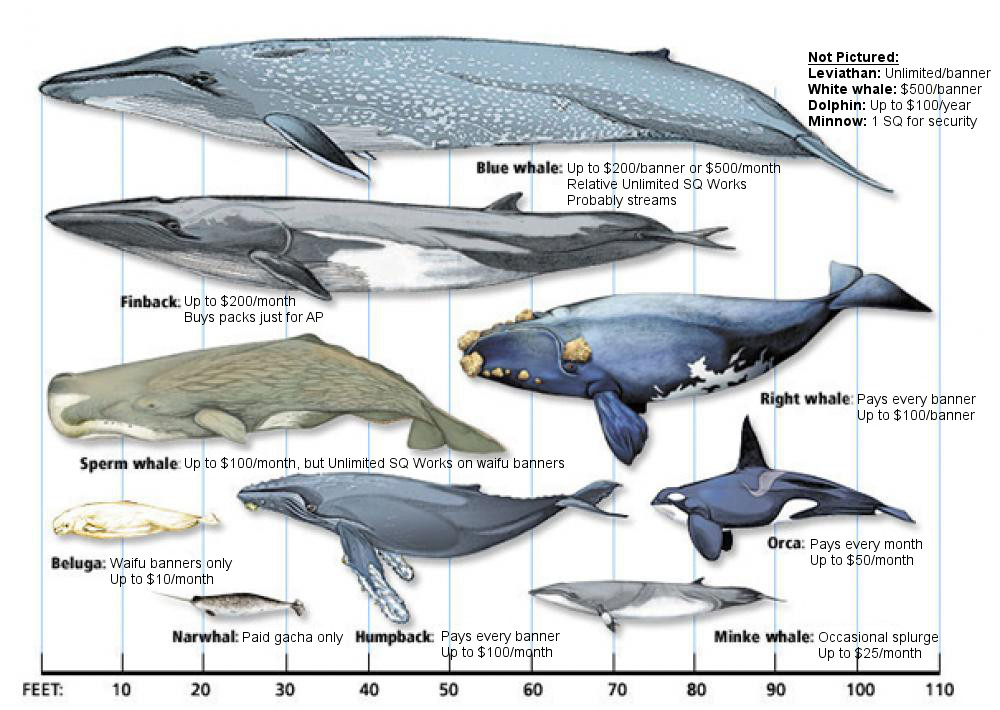 Jom belajar istilah permainan video Apa itu Whale? MyGameOn